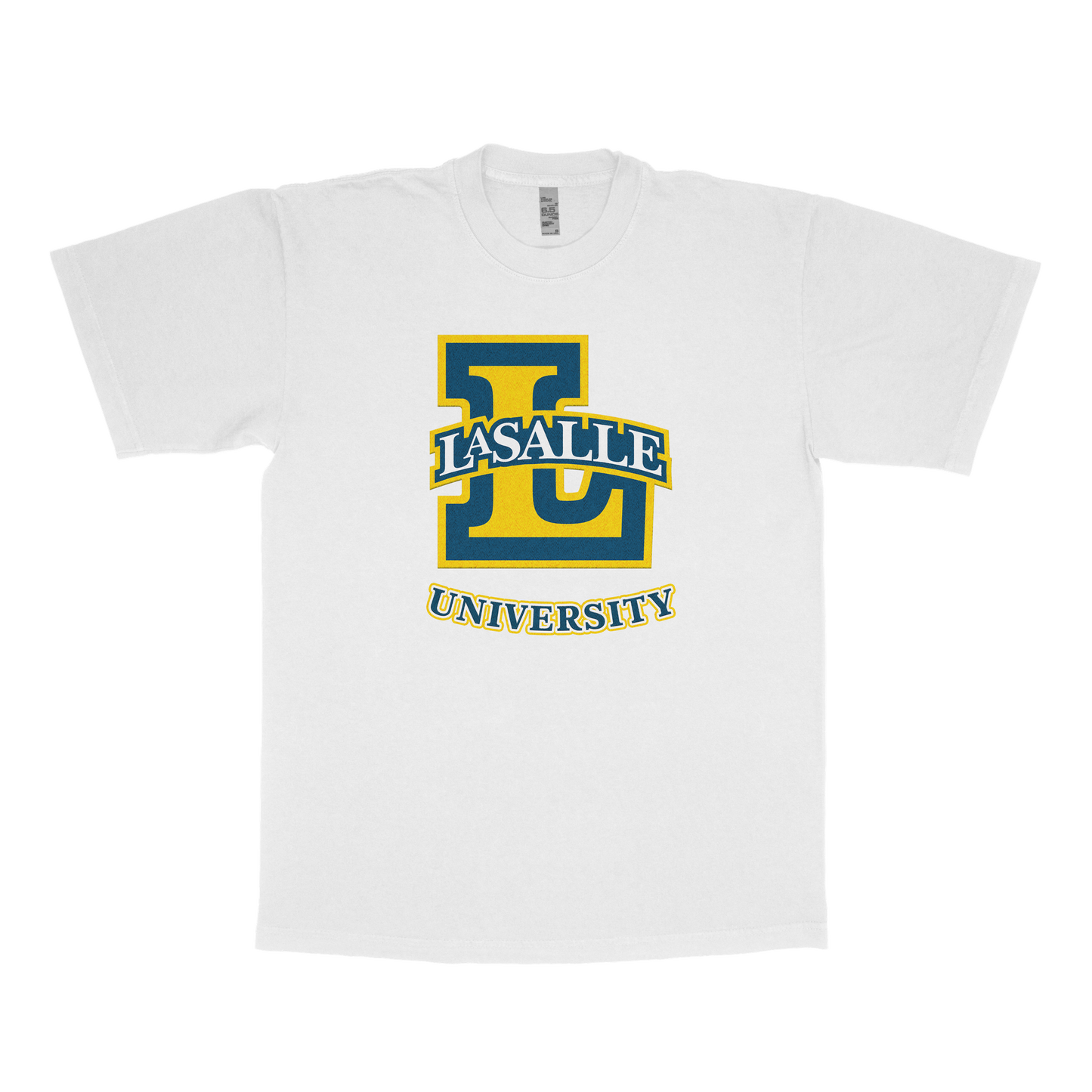 Ville Lasalle University (FAKE U)