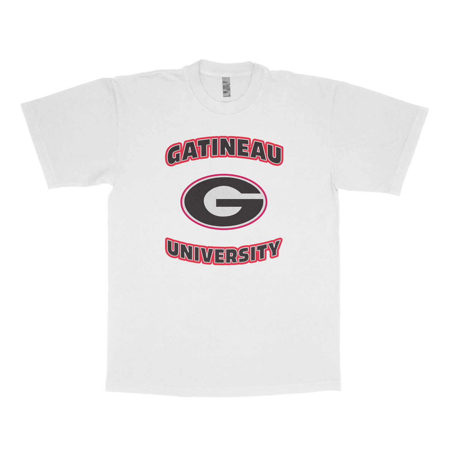 Gatineau University (FAKE U)