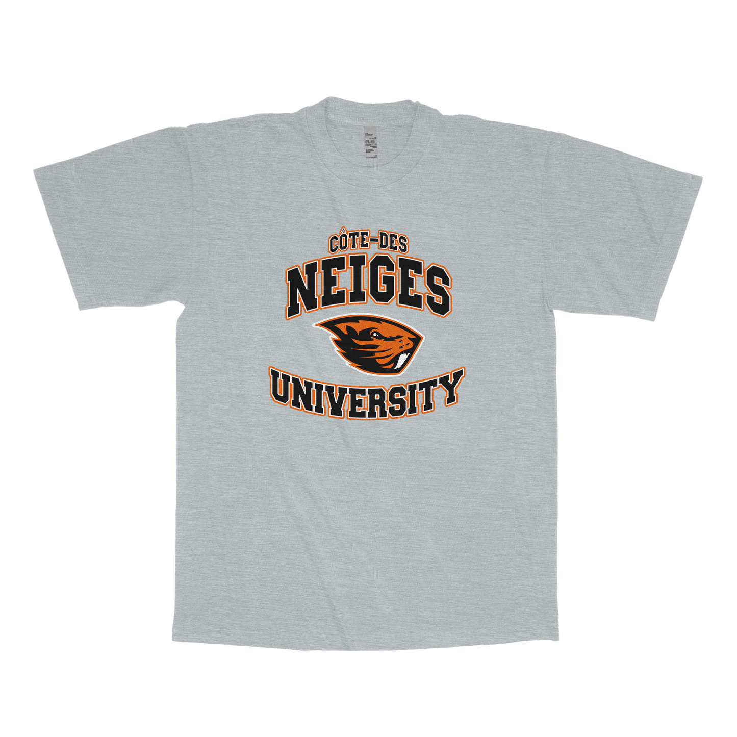 Côte-des-Neiges University (FAKE U)