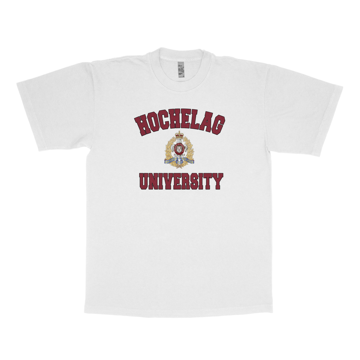 Hochelaga University (FAKE U)