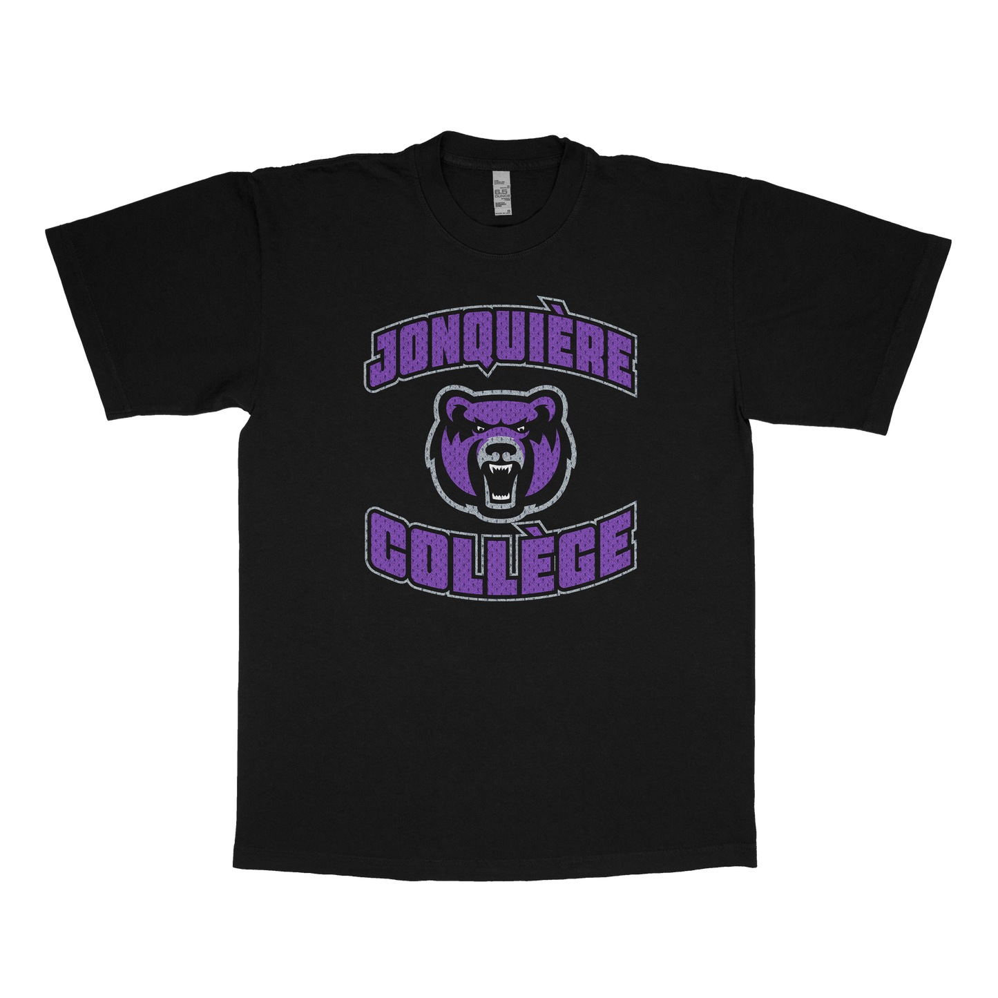 Ahuntsic University (FAKE U)