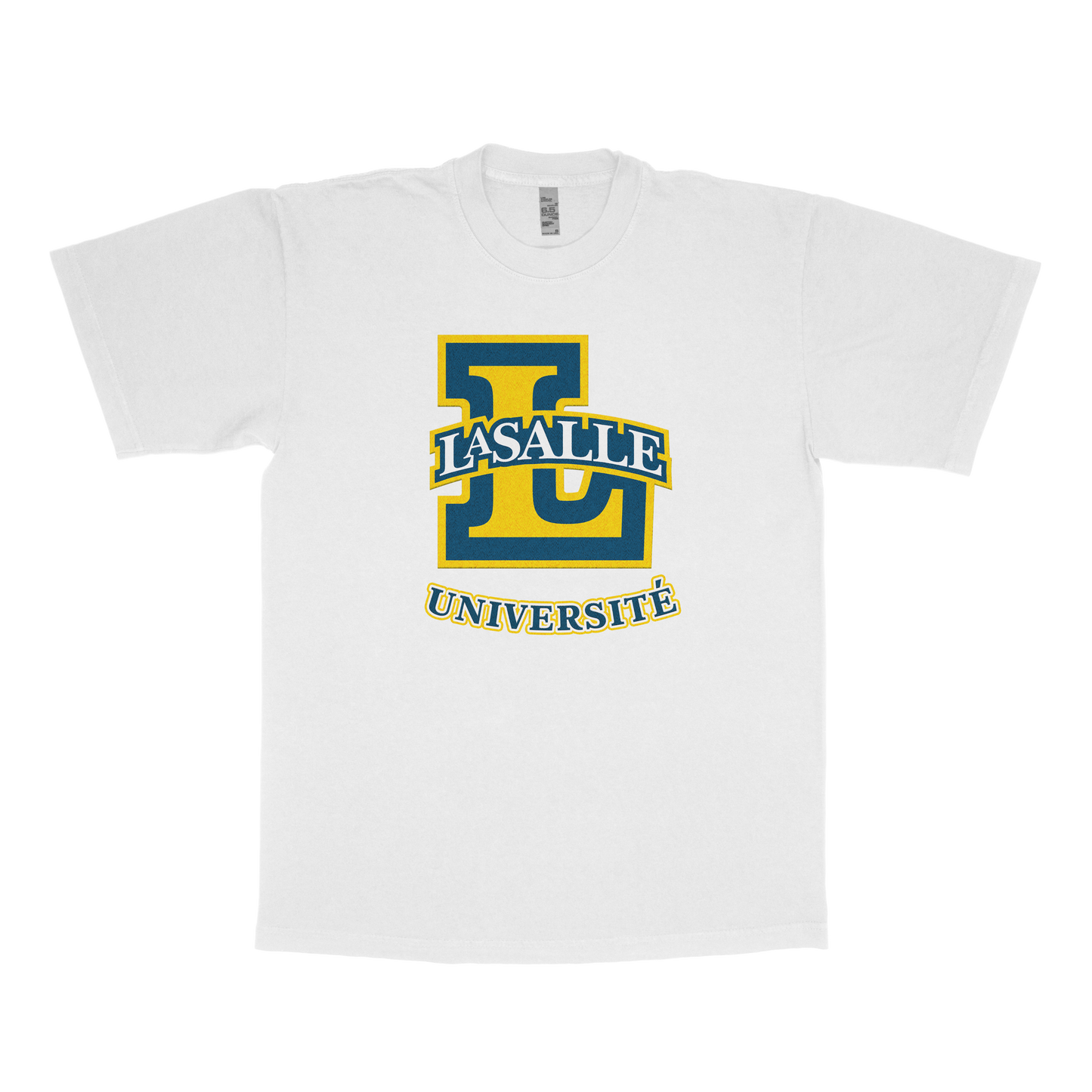Ville Lasalle University (FAKE U)