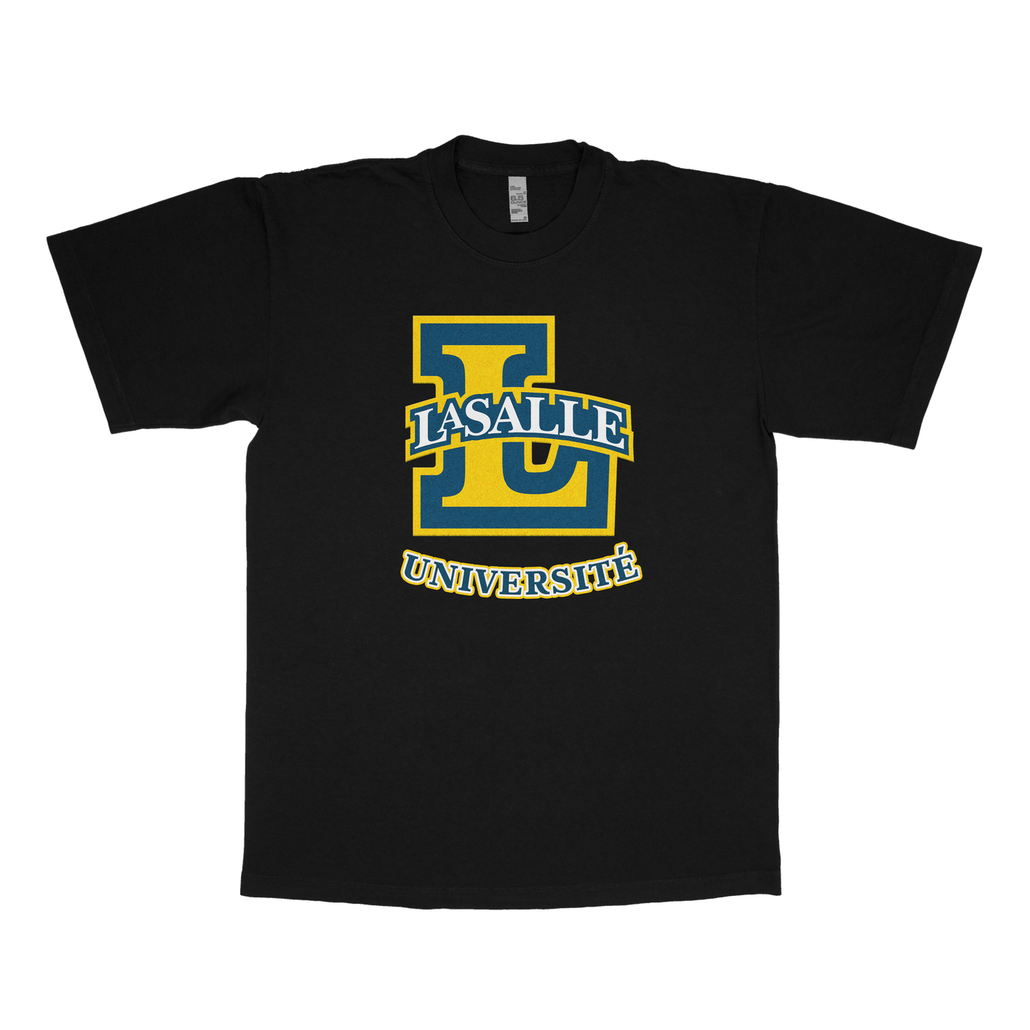 Ville Lasalle University (FAKE U)