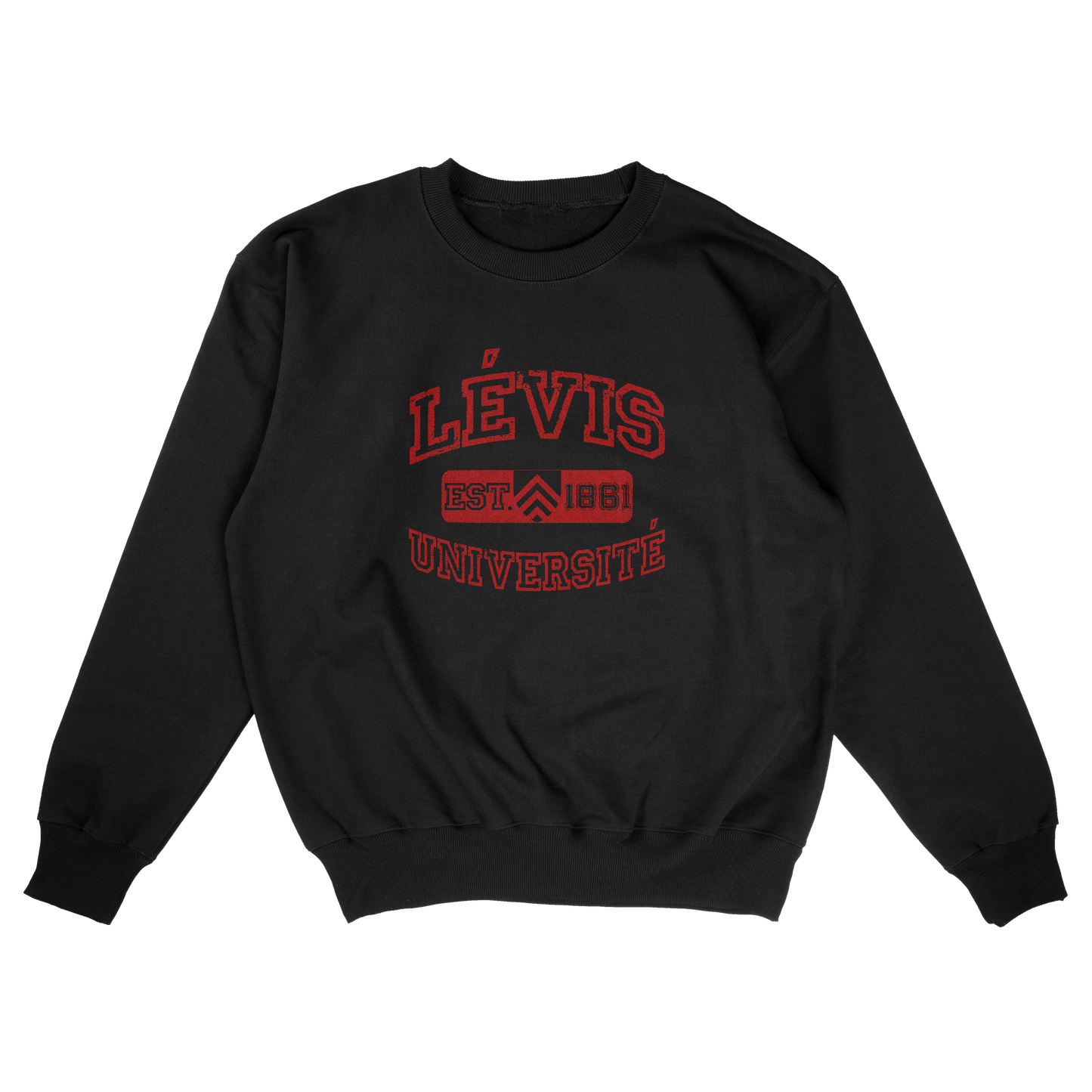 Lévis University (FAKE U)