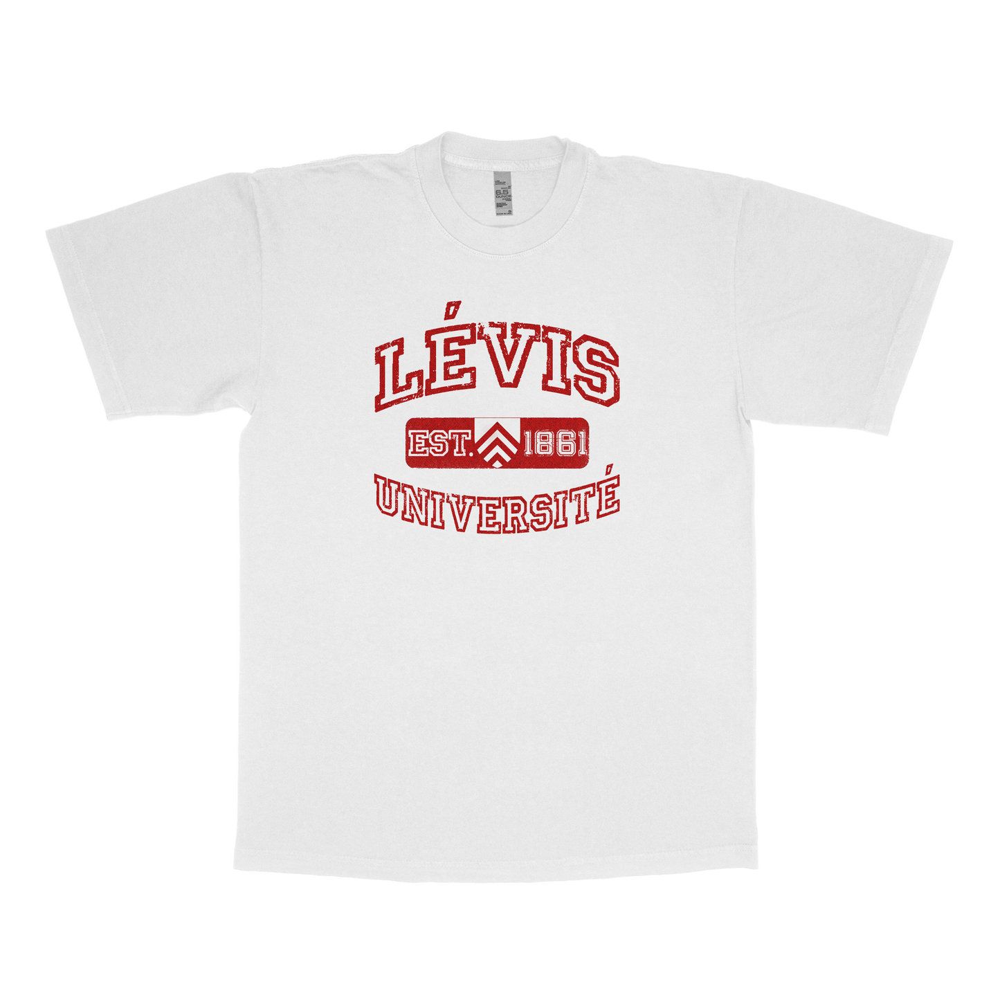Lévis University (FAKE U)