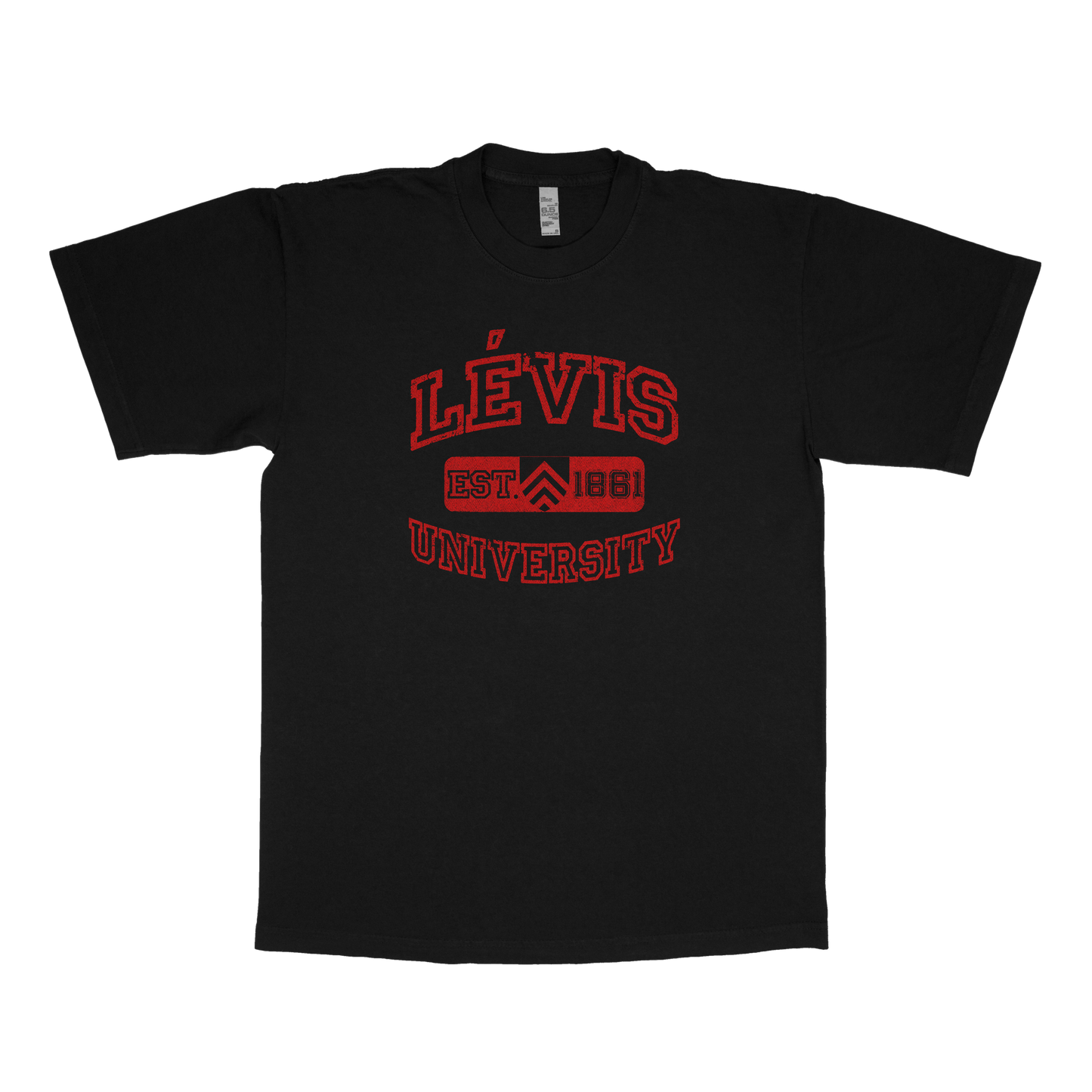Lévis University (FAKE U)