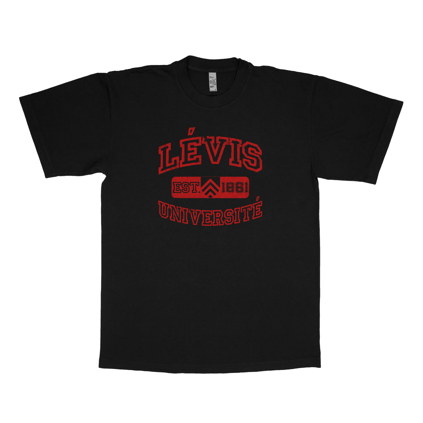 Lévis University (FAKE U)