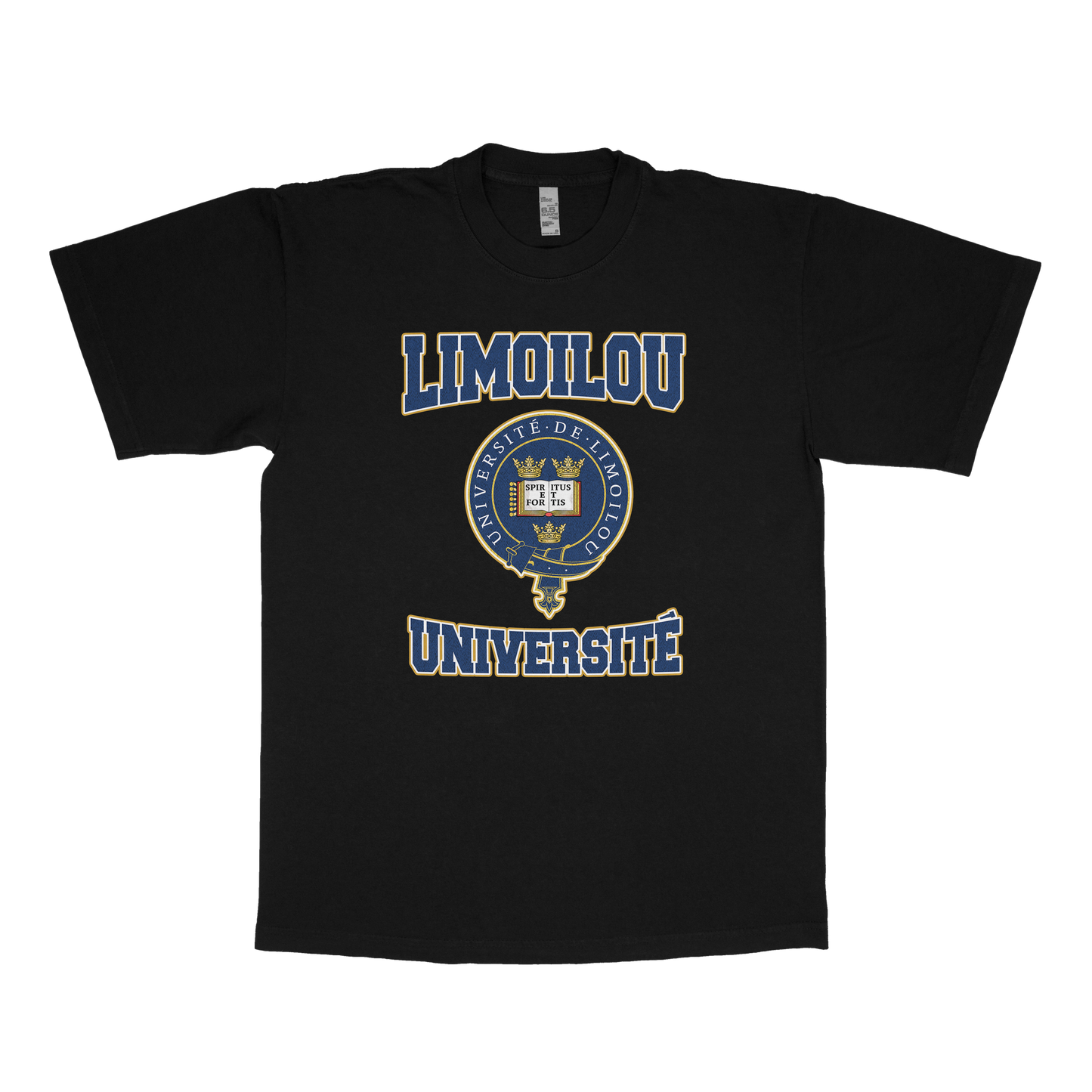 Limoilou Université (FAUX U)