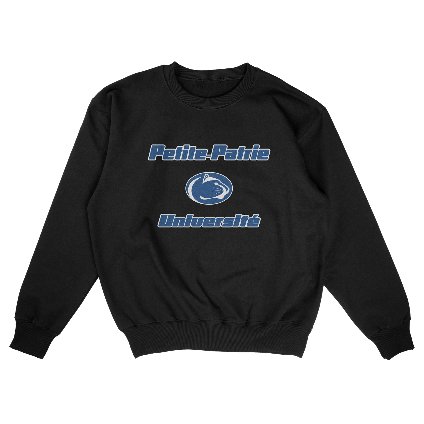 Petite-Patrie University (FAKE U)