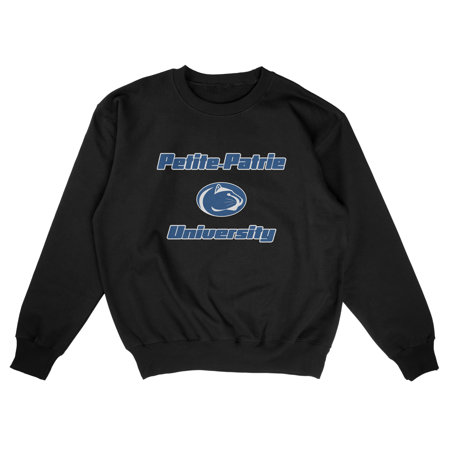 Petite-Patrie University (FAKE U)