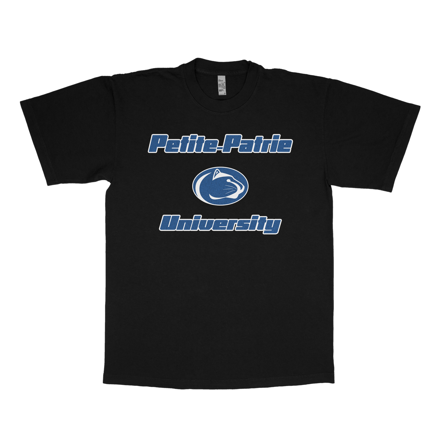 Petite-Patrie University (FAKE U)
