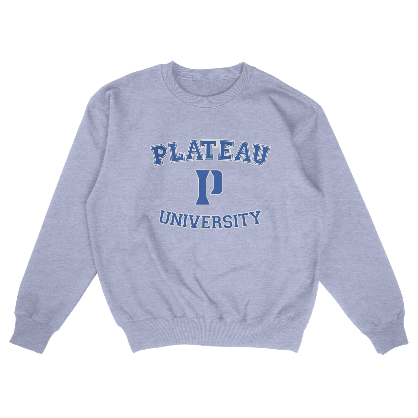 Plateau University (FAKE U)