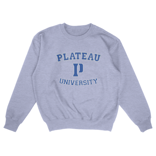 Plateau University (FAKE U)