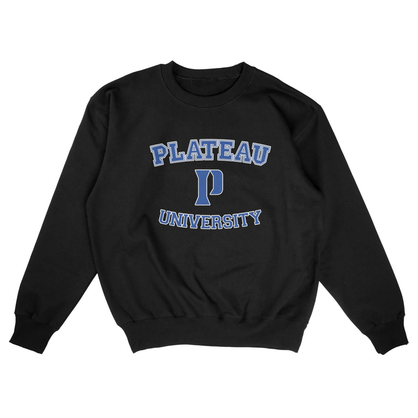 Plateau University (FAKE U)