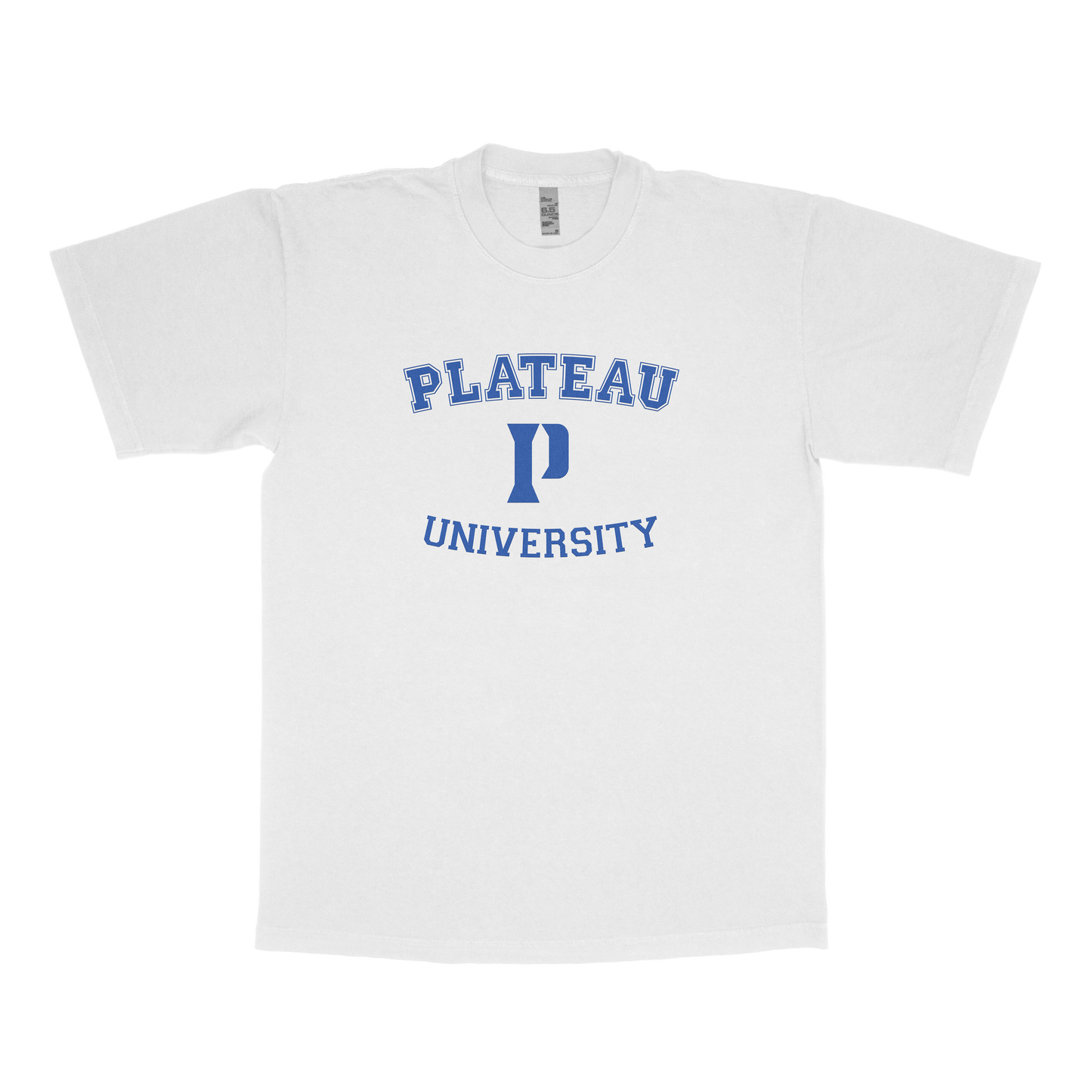 Plateau University (FAKE U)