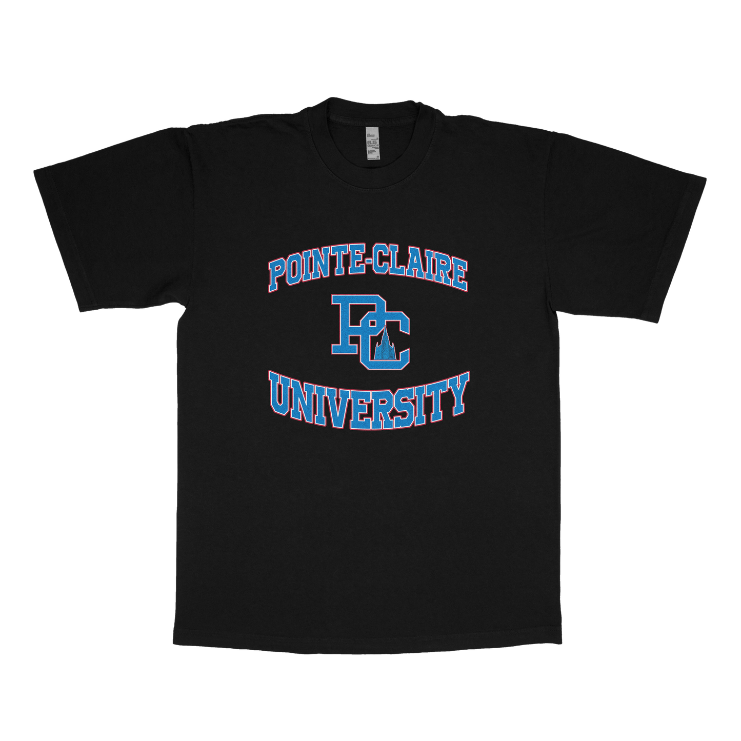 Pointe-Claire University (FAKE U)