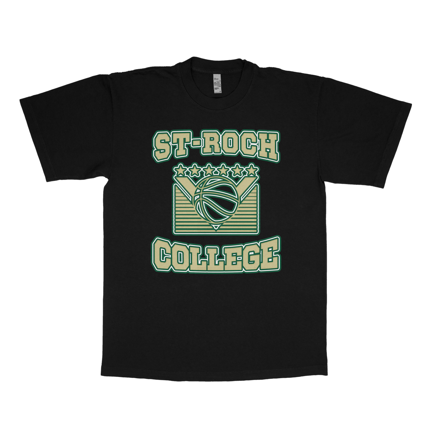 St-Roch College (FAKE U)