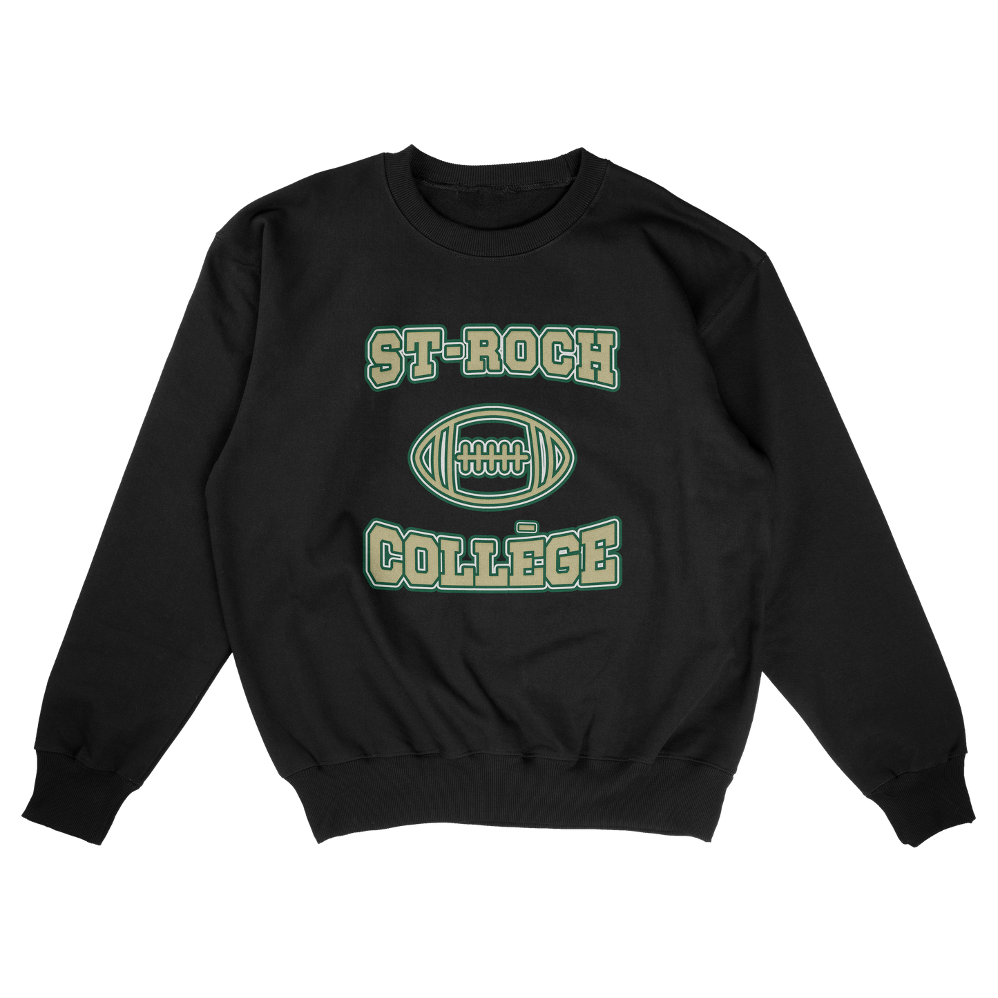 St-Roch College (FAKE U)