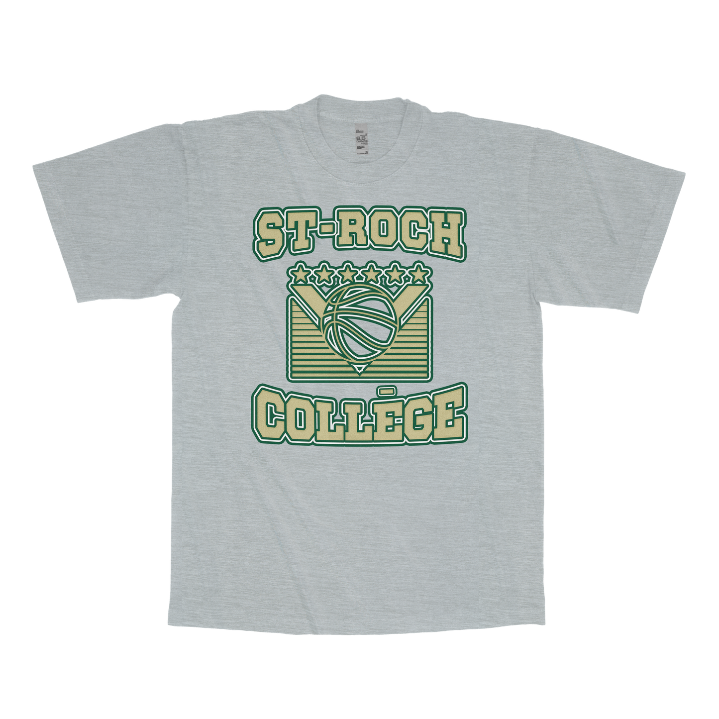St-Roch College (FAKE U)