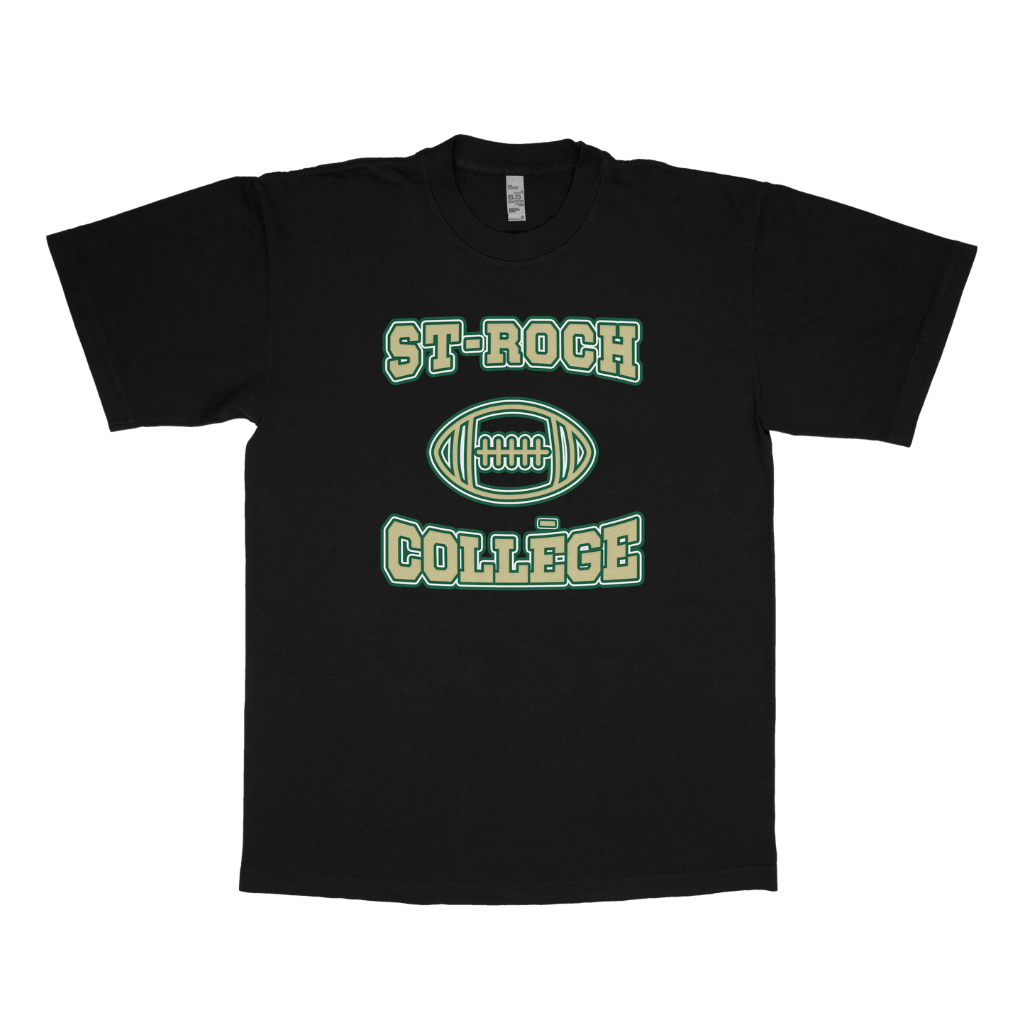 St-Roch College (FAKE U)