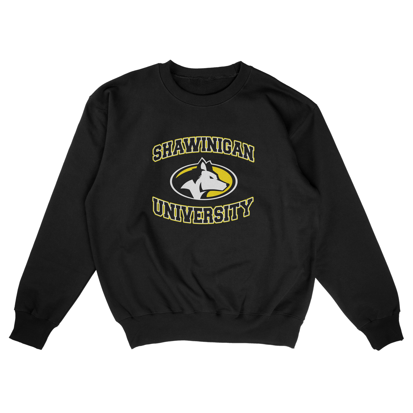 Shawinigan University (FAKE U)