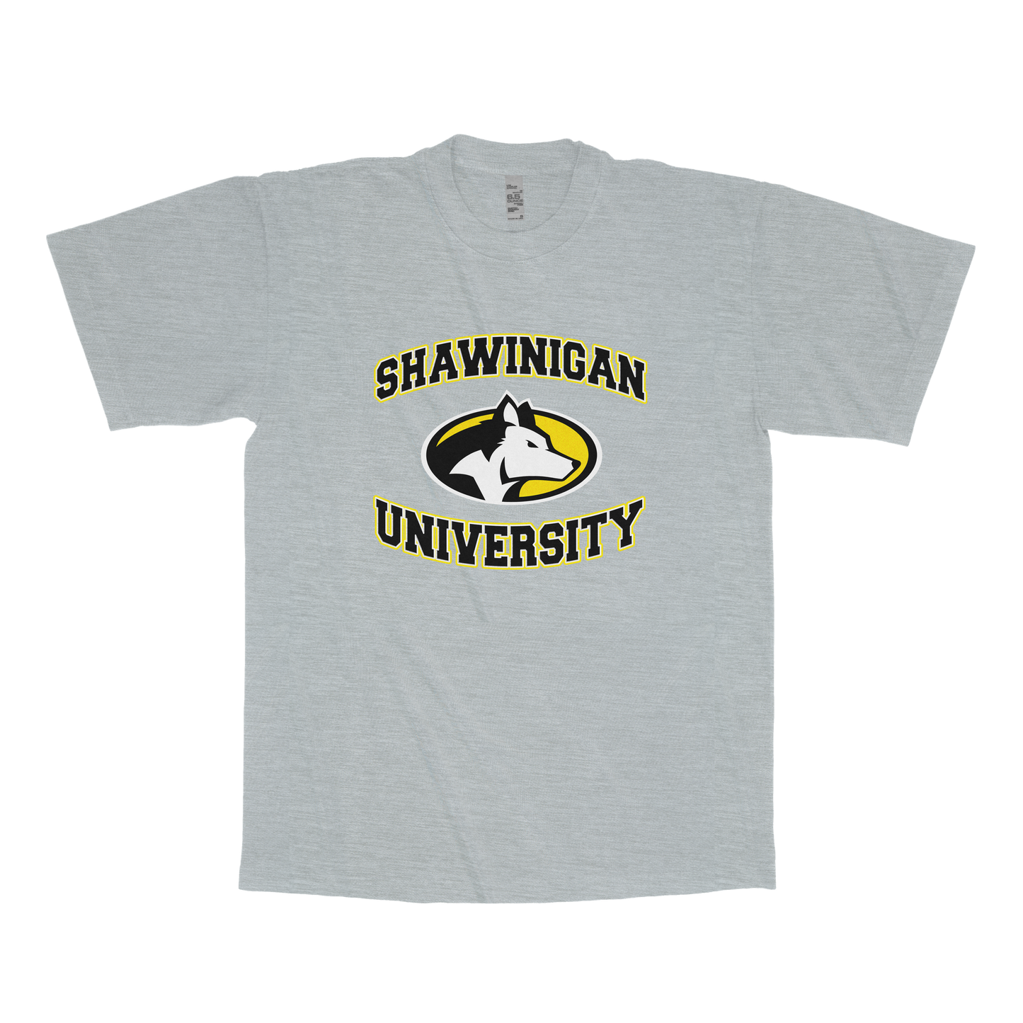 Shawinigan University (FAKE U)