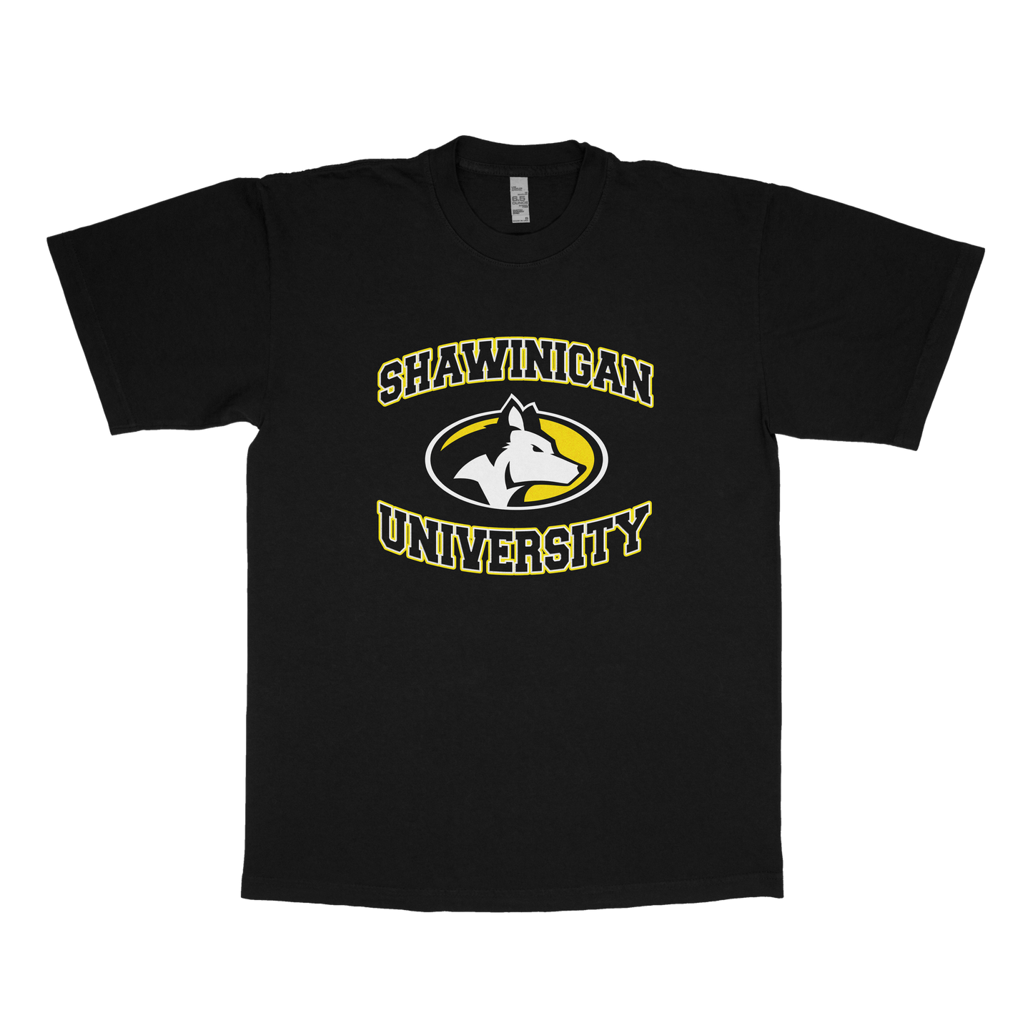 Shawinigan University (FAKE U)