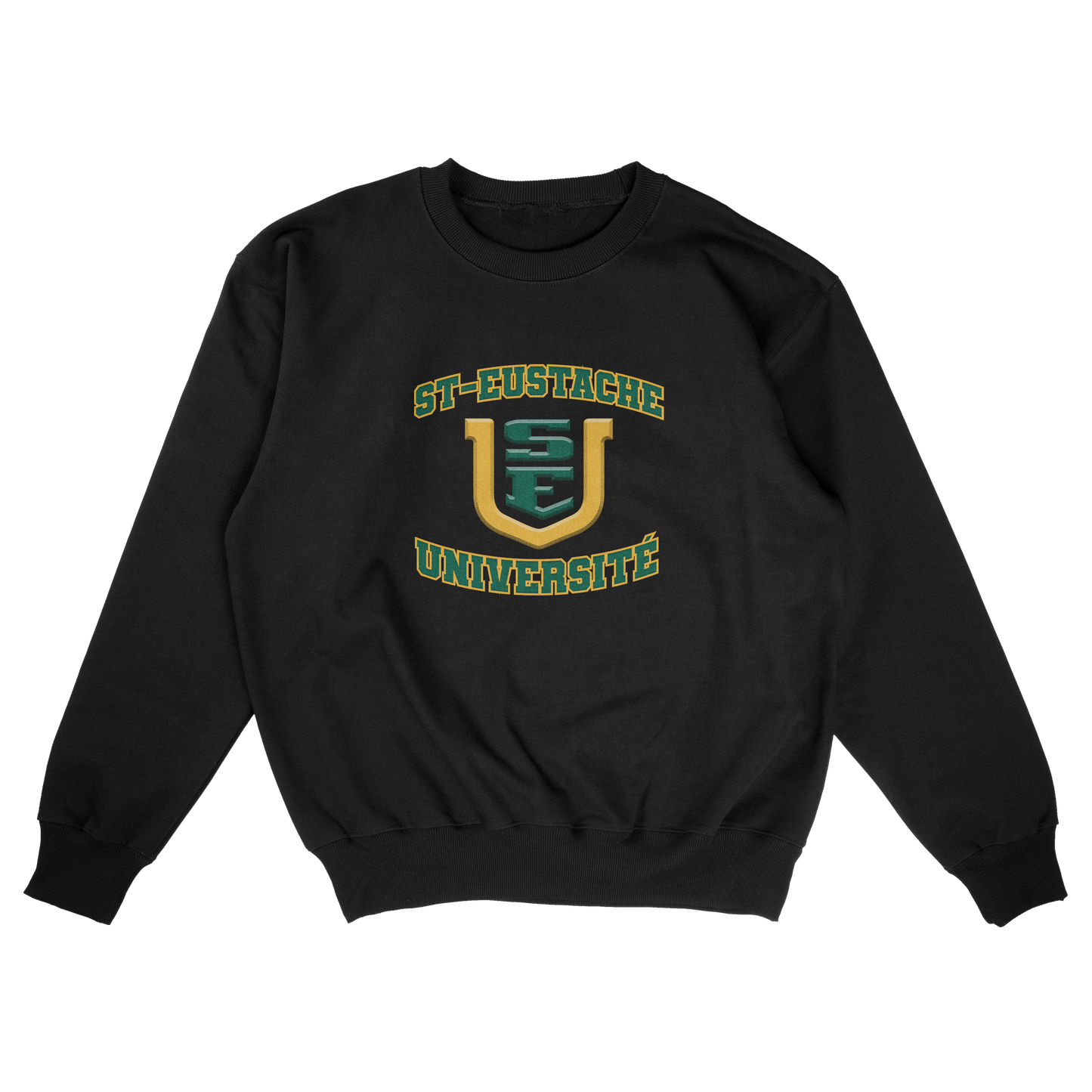 Ahuntsic University (FAKE U)