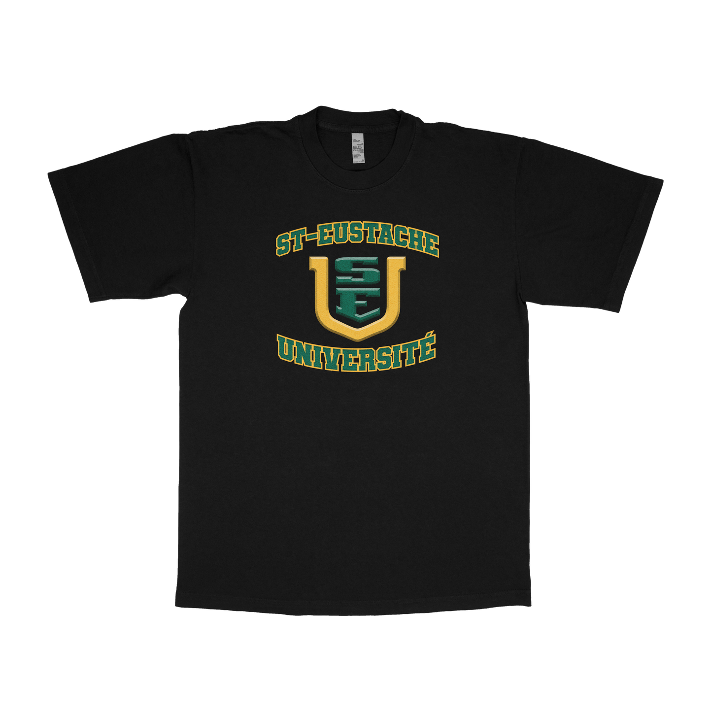 Ahuntsic University (FAKE U)