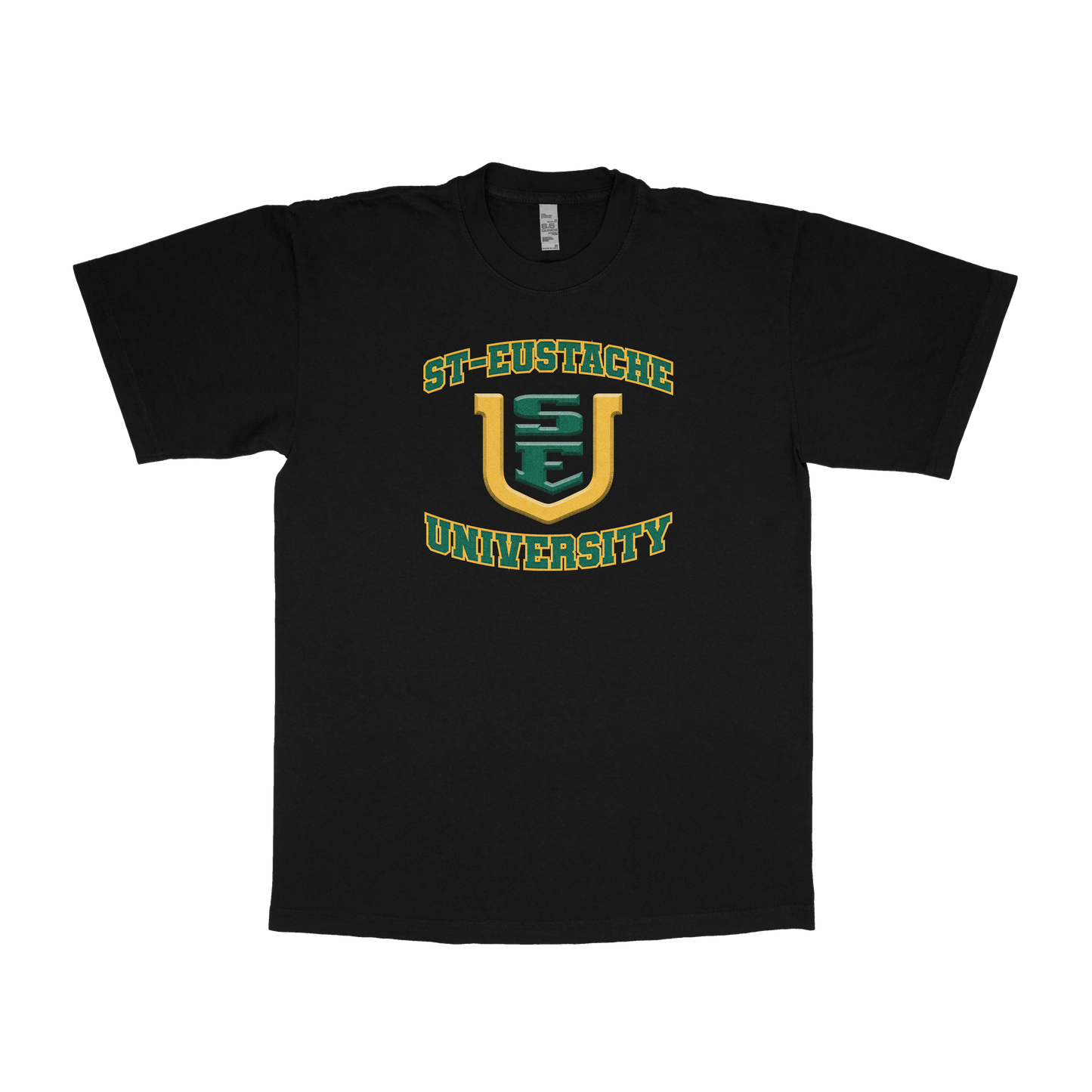 Ahuntsic University (FAKE U)