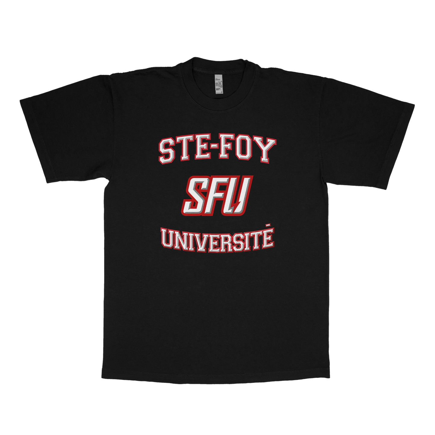 Ste-Foy Université (FAUX U)