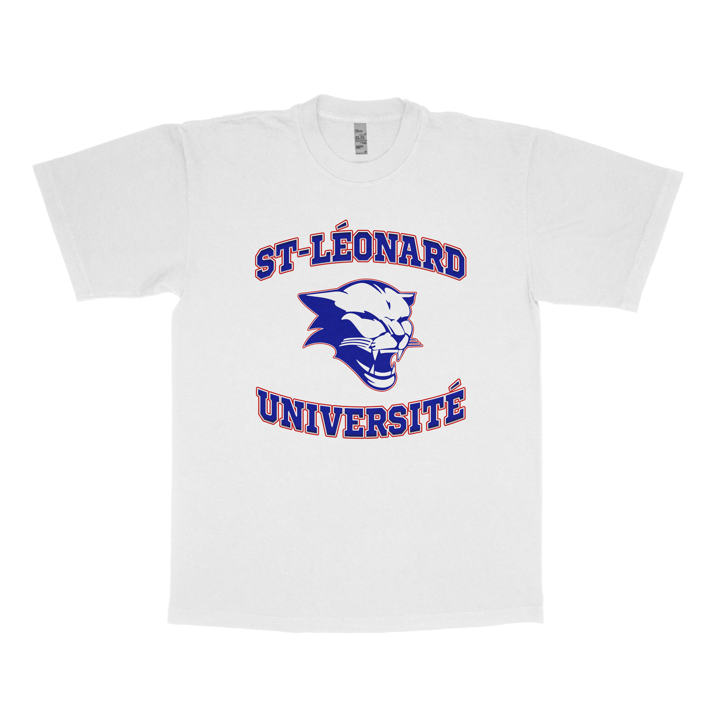 Saint-Léonard Université (FAUX U)
