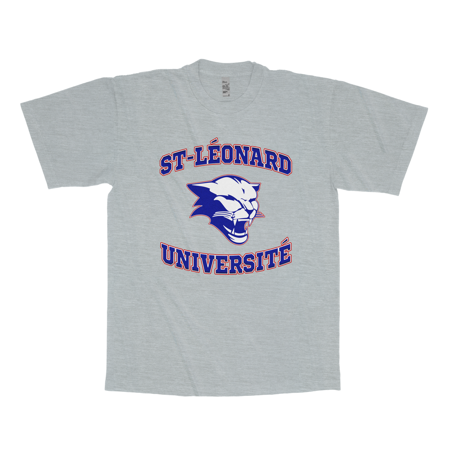 Saint-Léonard Université (FAUX U)