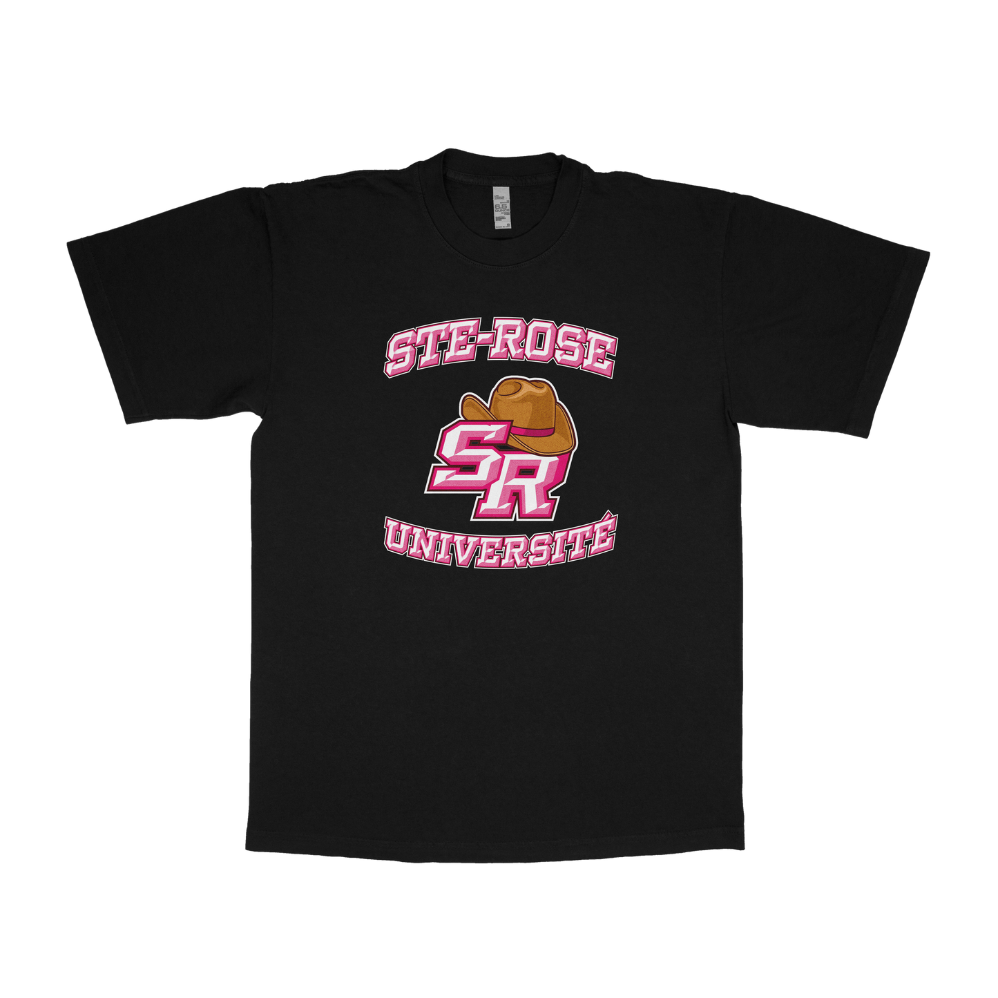 Sainte-Rose Université (FAUX U)