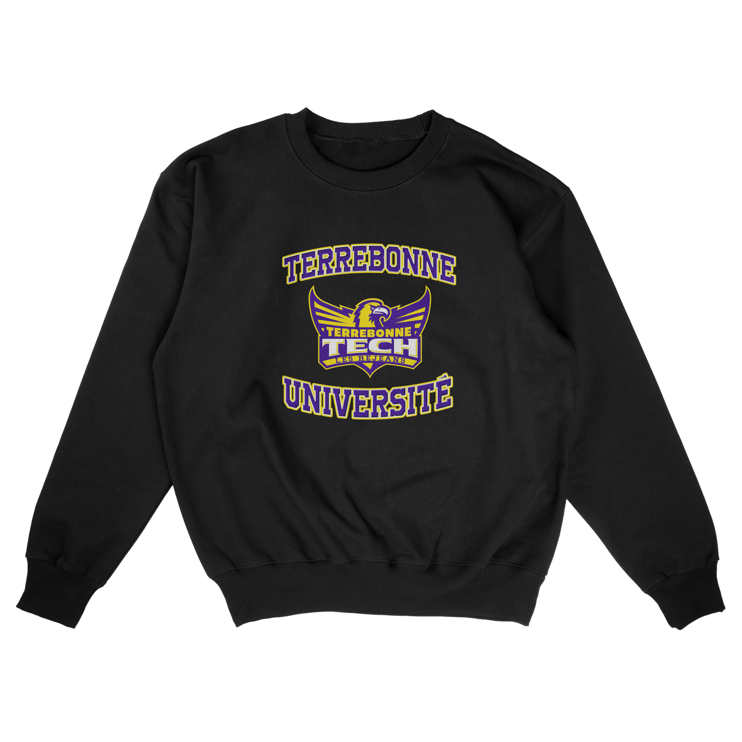 Terrebonne University (FAKE U)