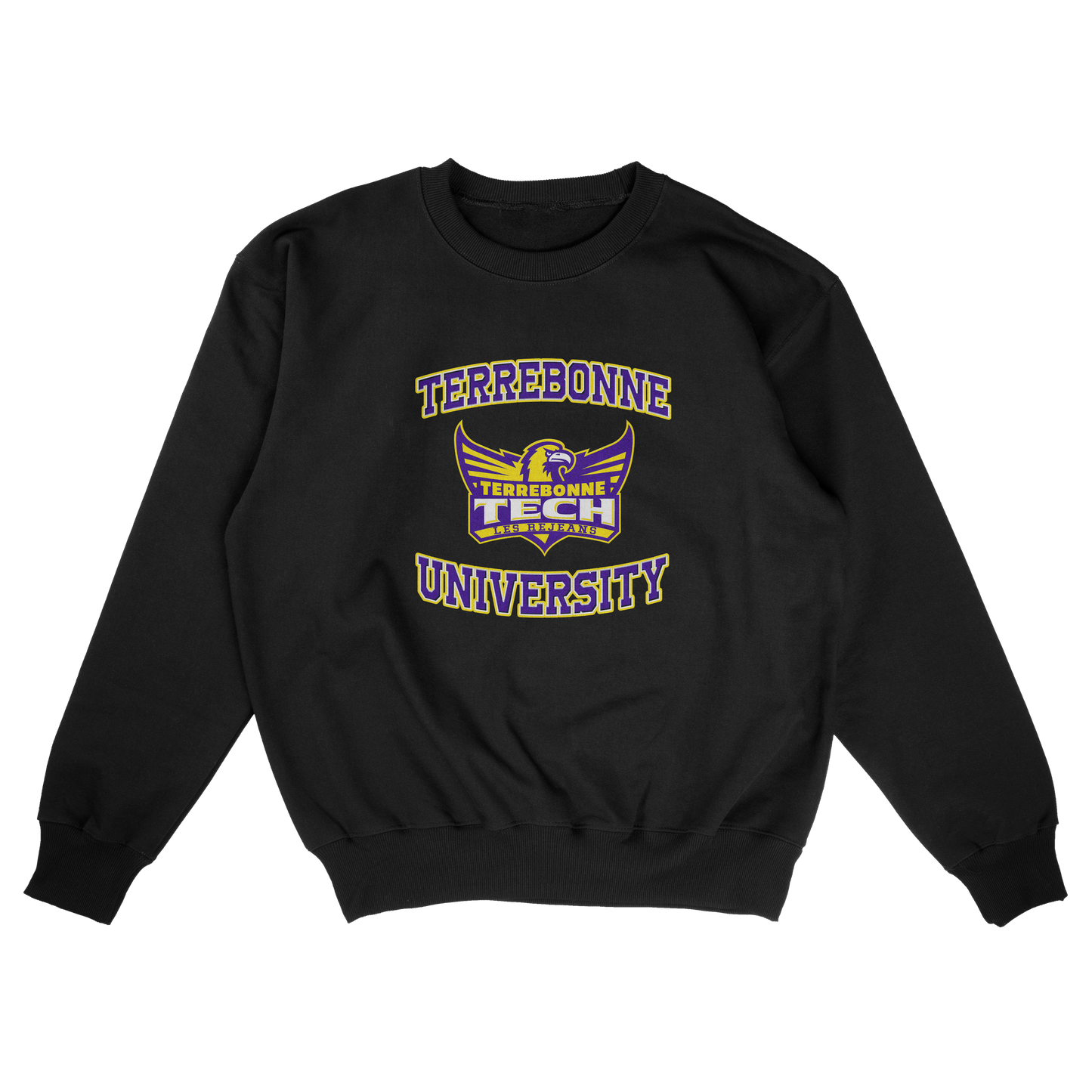 Terrebonne University (FAKE U)