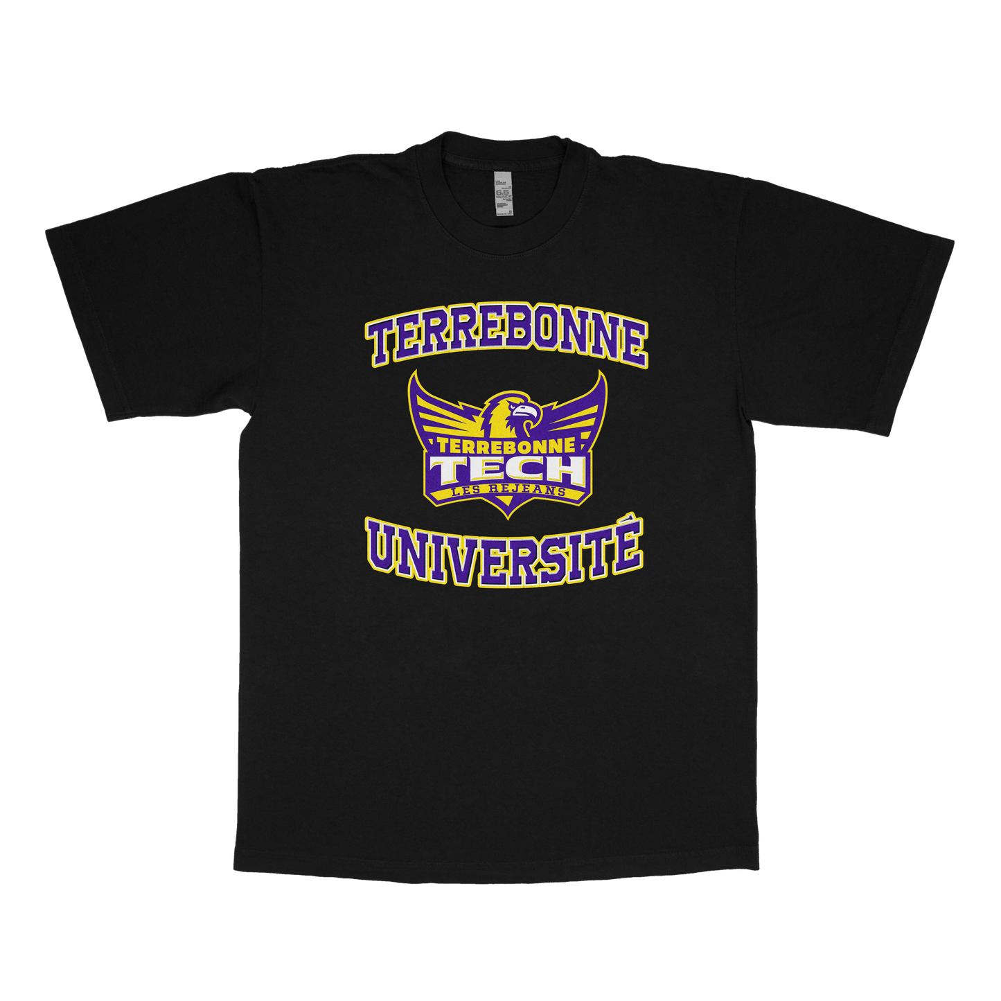 Terrebonne University (FAKE U)