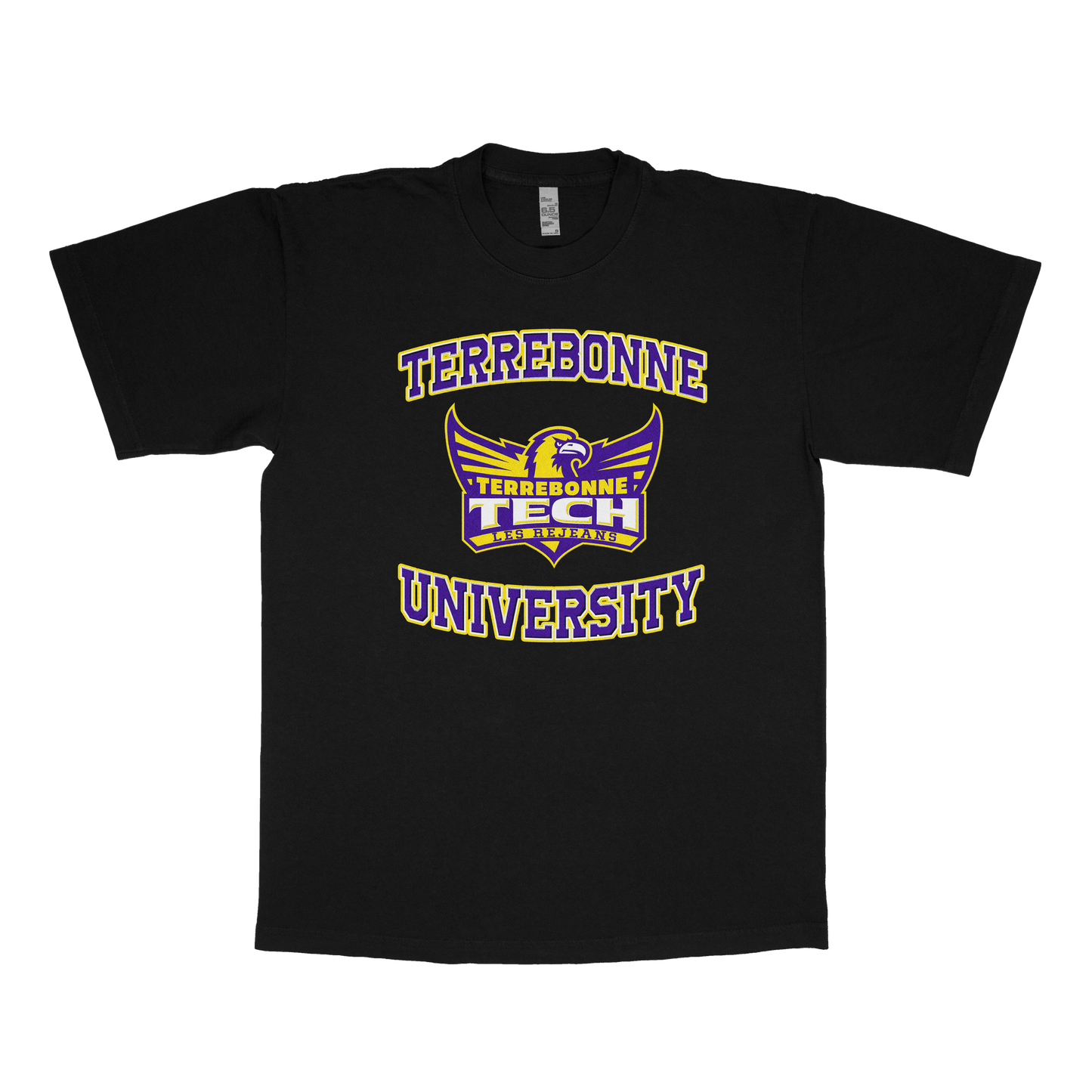 Terrebonne University (FAKE U)
