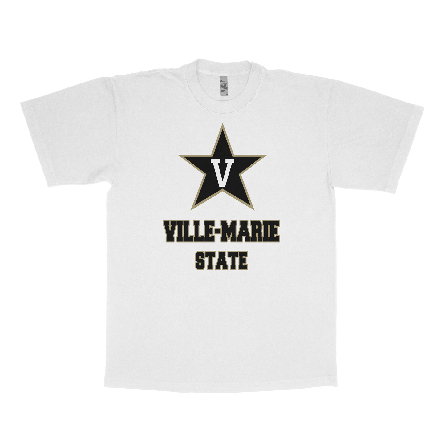 Ville-Marie University (FAKE U)