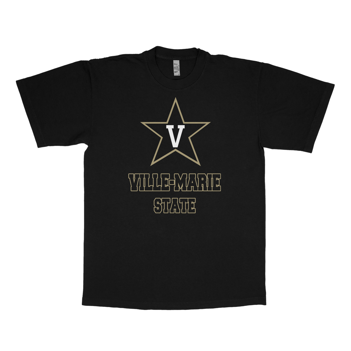 Ville-Marie University (FAKE U)