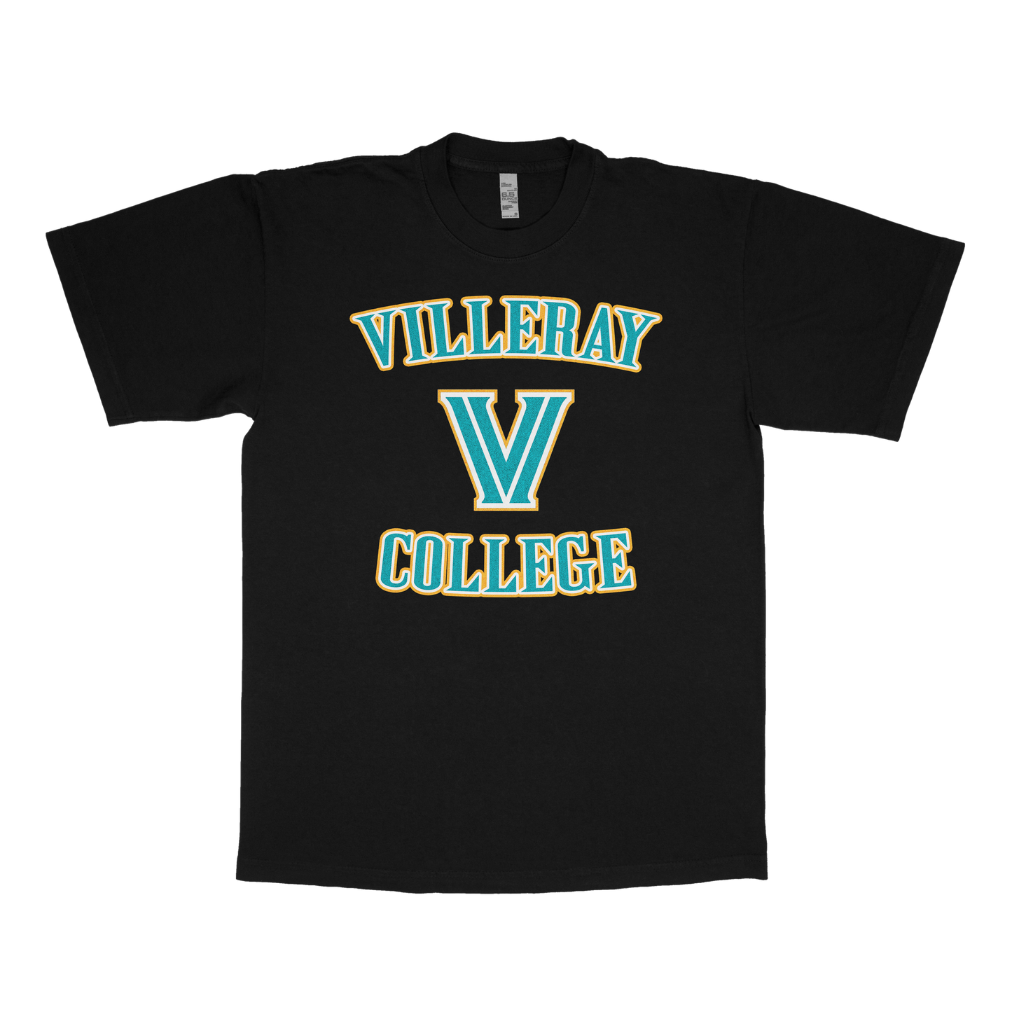 Villeray University (FAKE U)