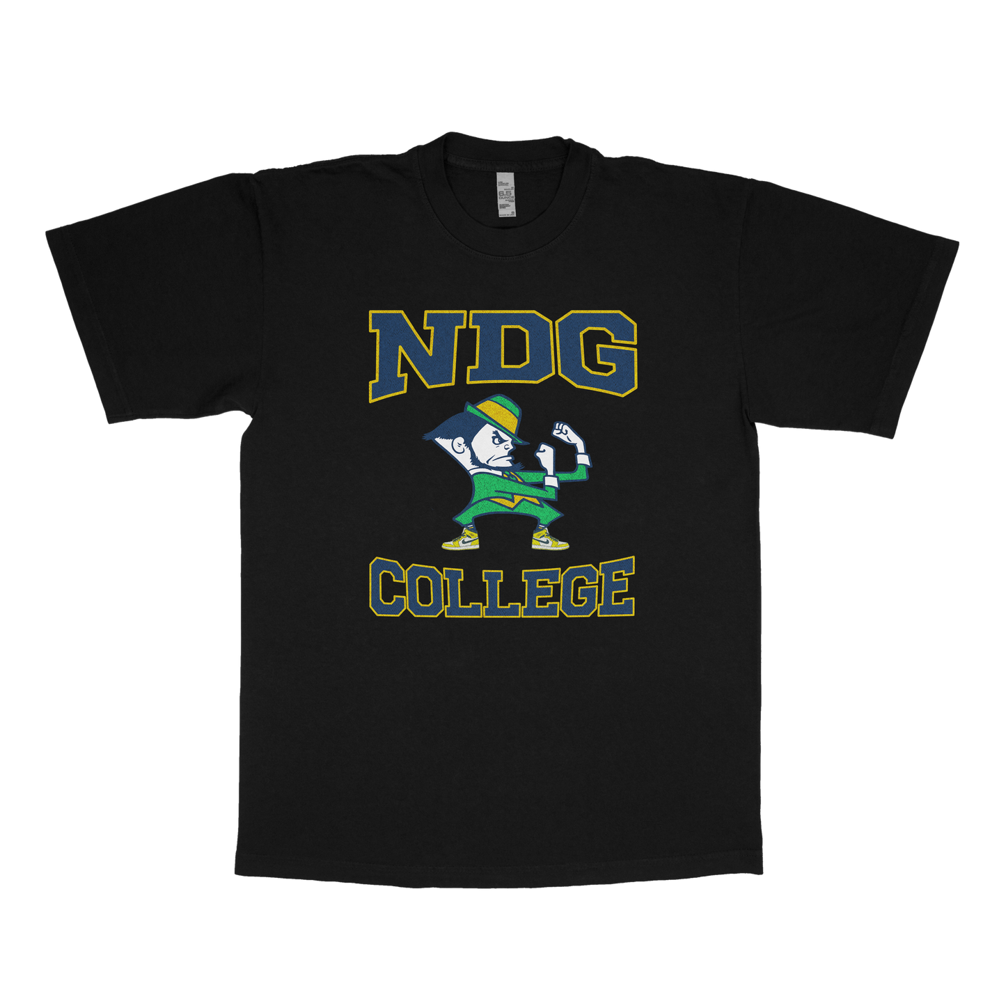 Notre-Dame-de-Grâce (NDG) University (Fake U)