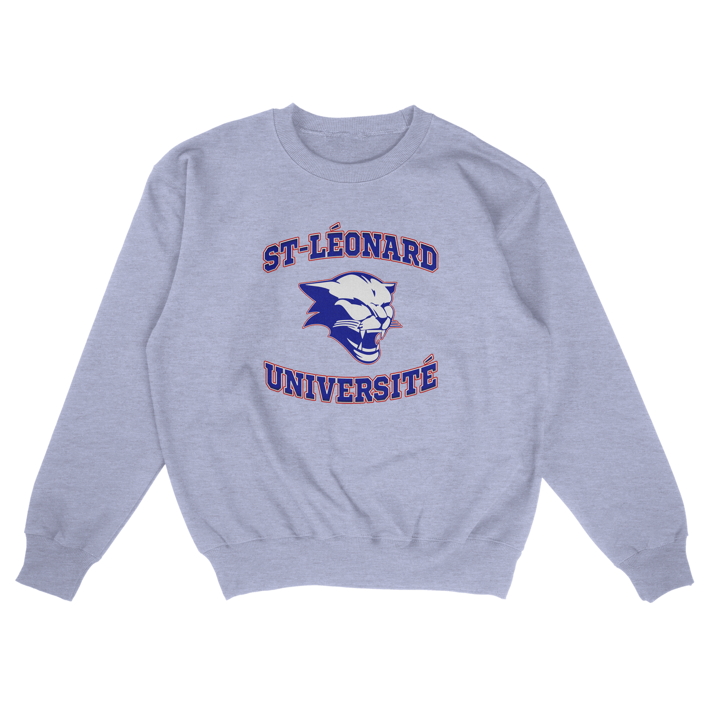 Saint-Léonard Université (FAUX U)