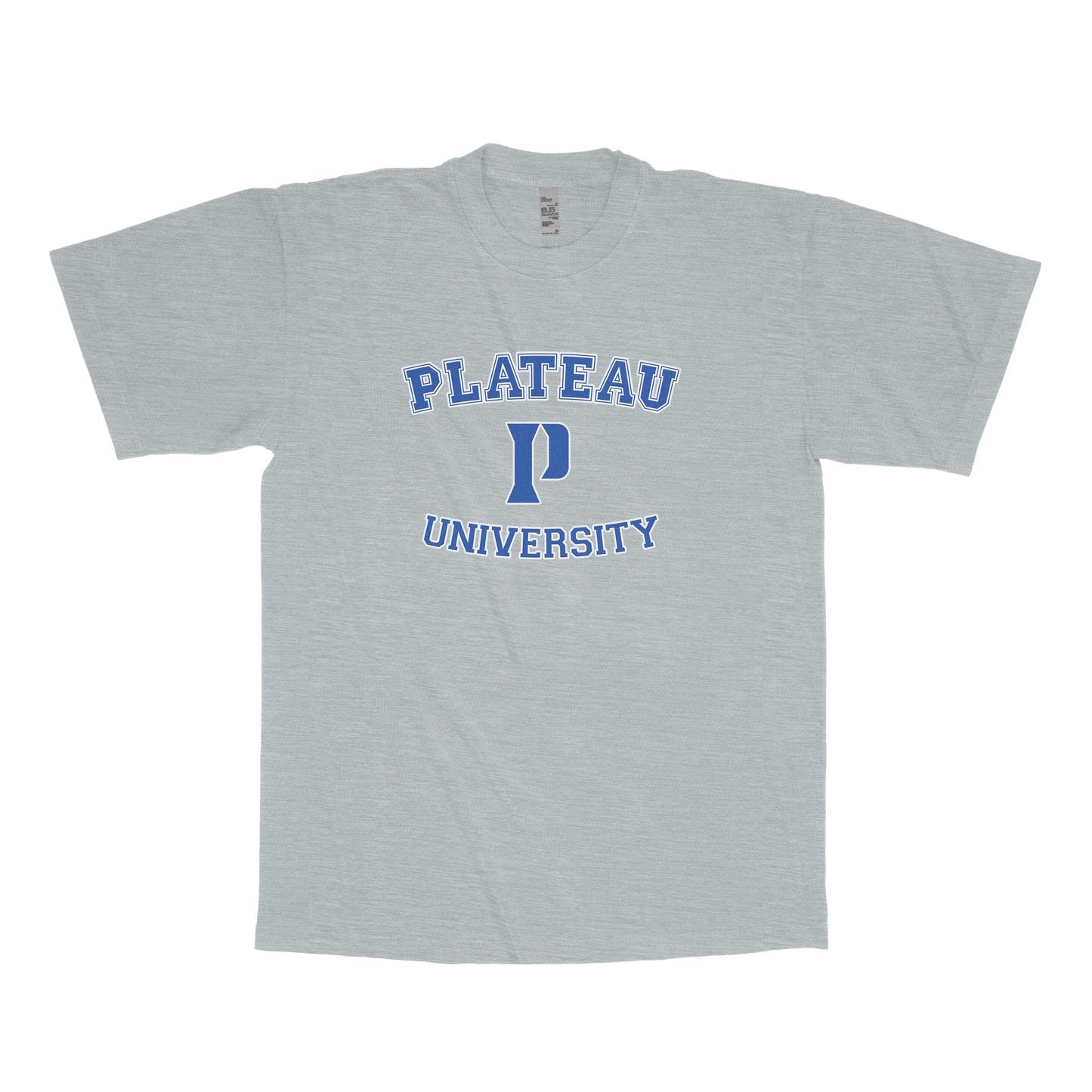 Plateau University (FAKE U)