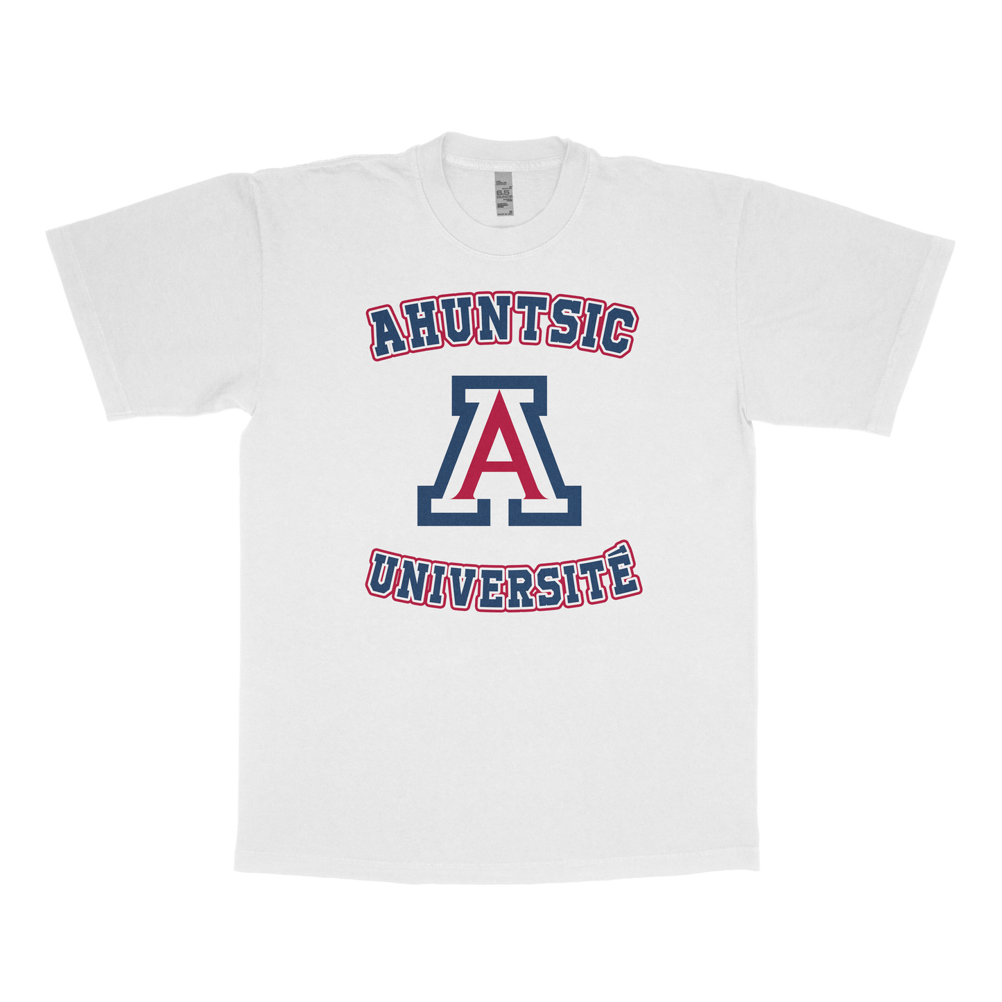 Ahuntsic University (FAKE U)