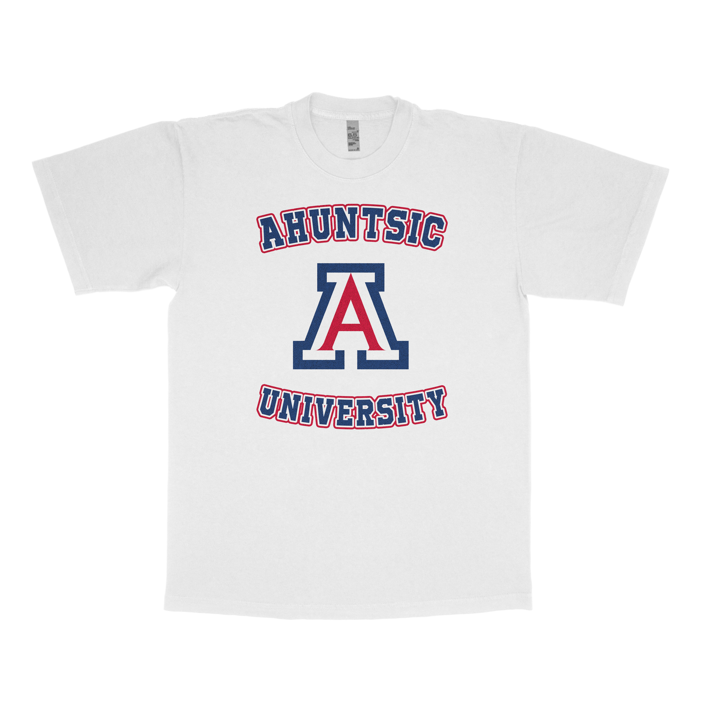 Ahuntsic University (FAKE U)