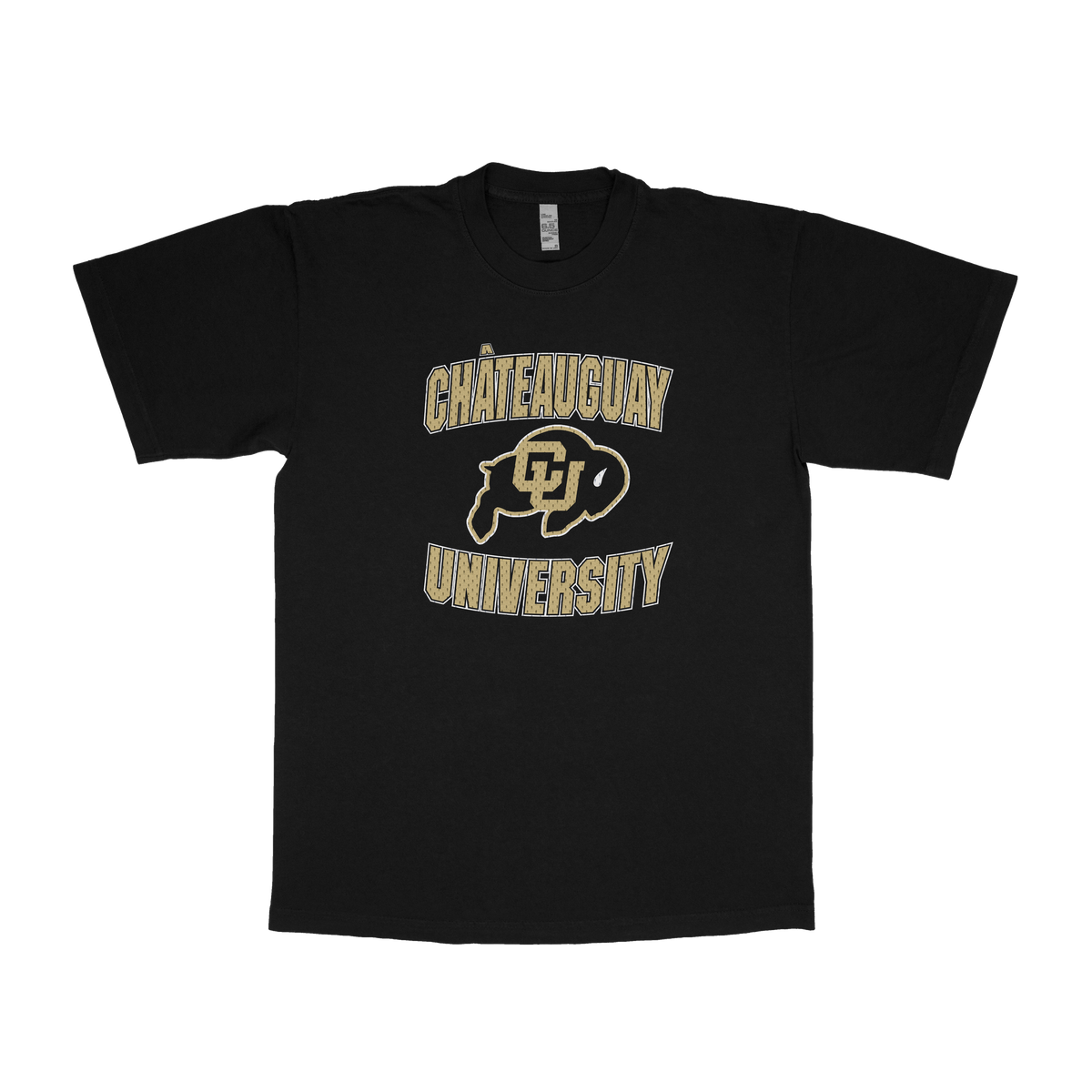Châteauguay University (FAKE U)