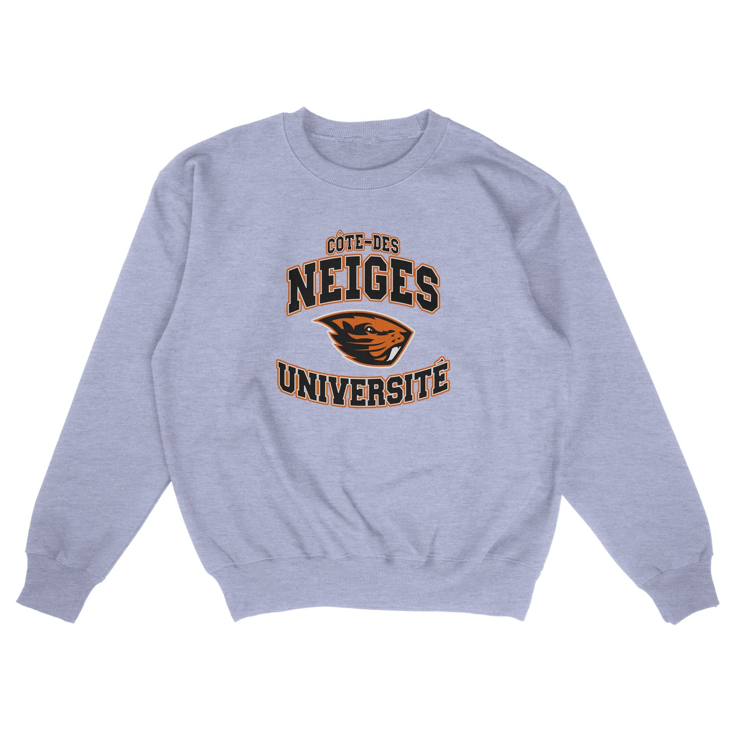 Côte-des-Neiges University (FAKE U)