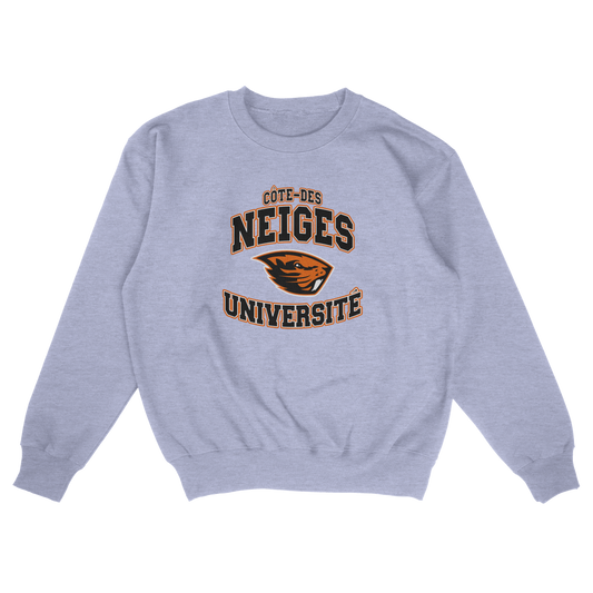 Côte-des-Neiges University (FAKE U)