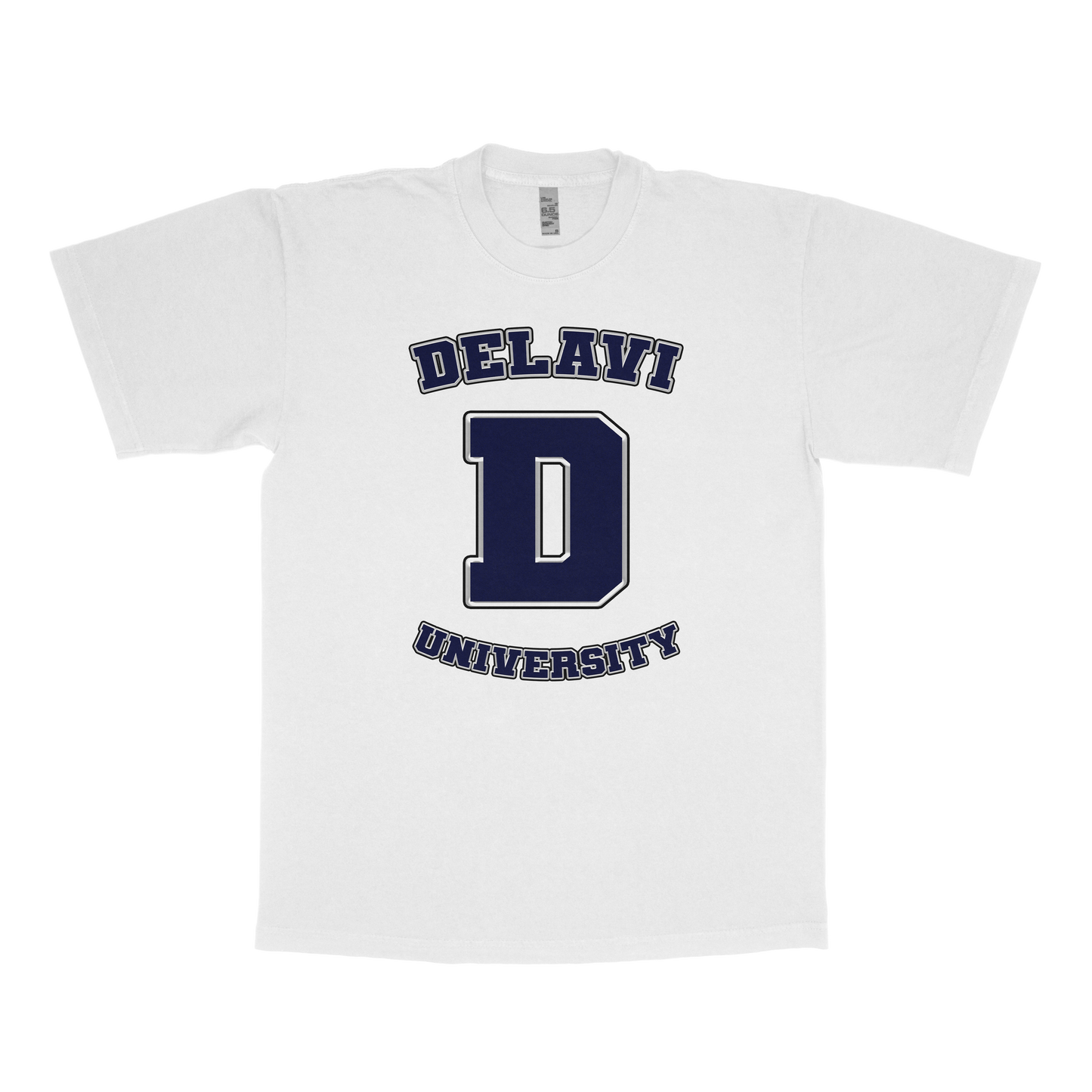 DELAVI University Bleu (FAKE U)